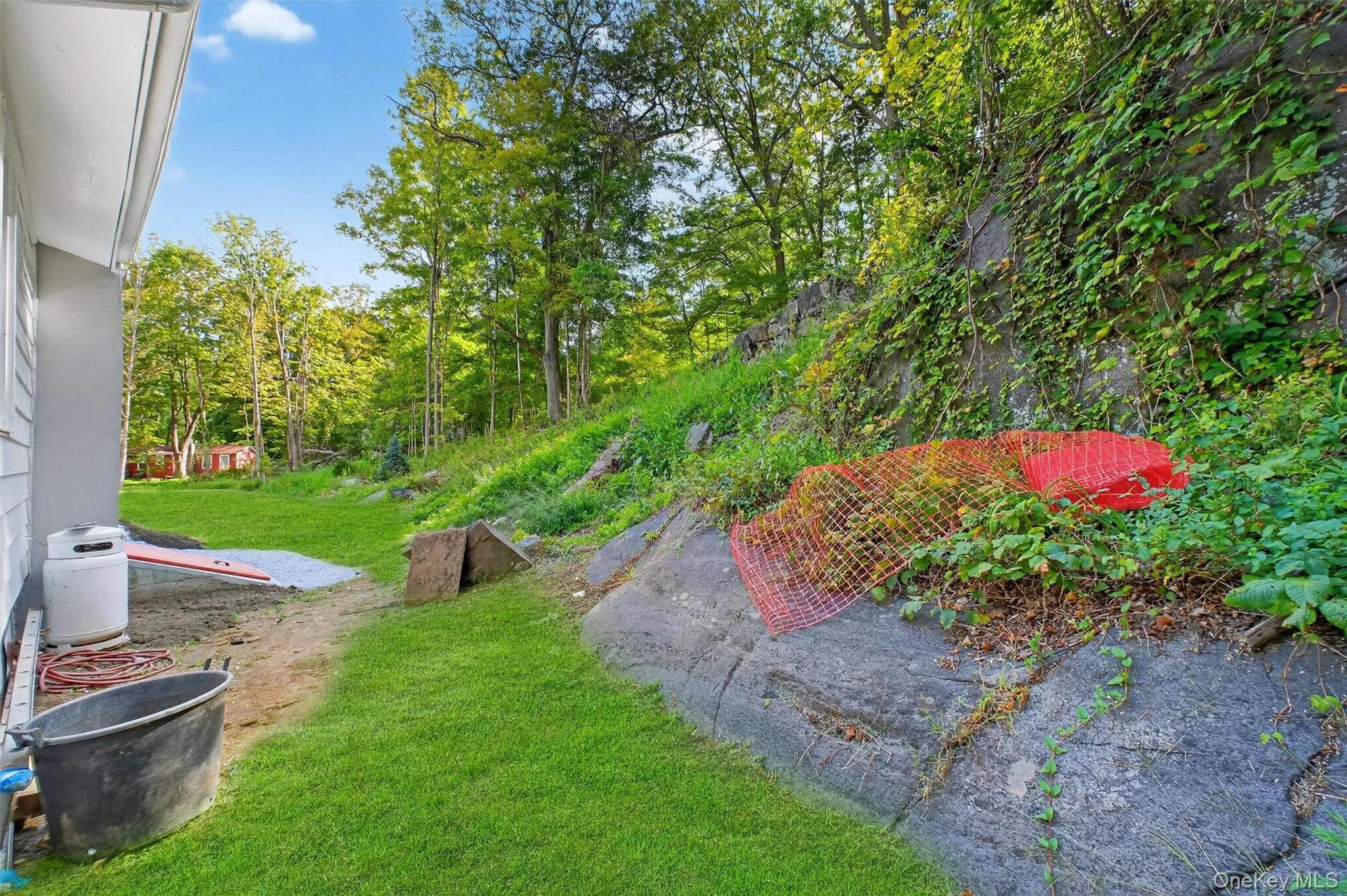 View of green lawn View of green lawn