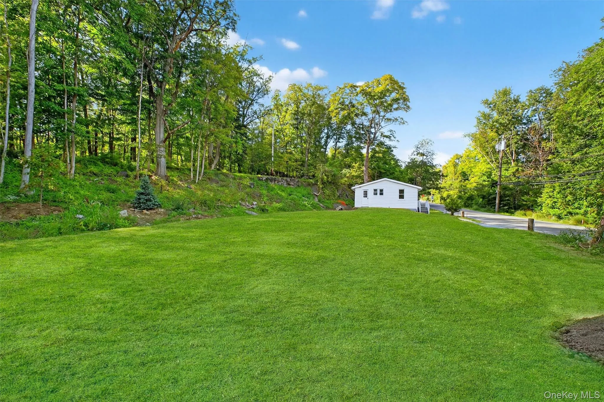 View of grassy yard featuring view of wooded area View of grassy yard featuring view of wooded area