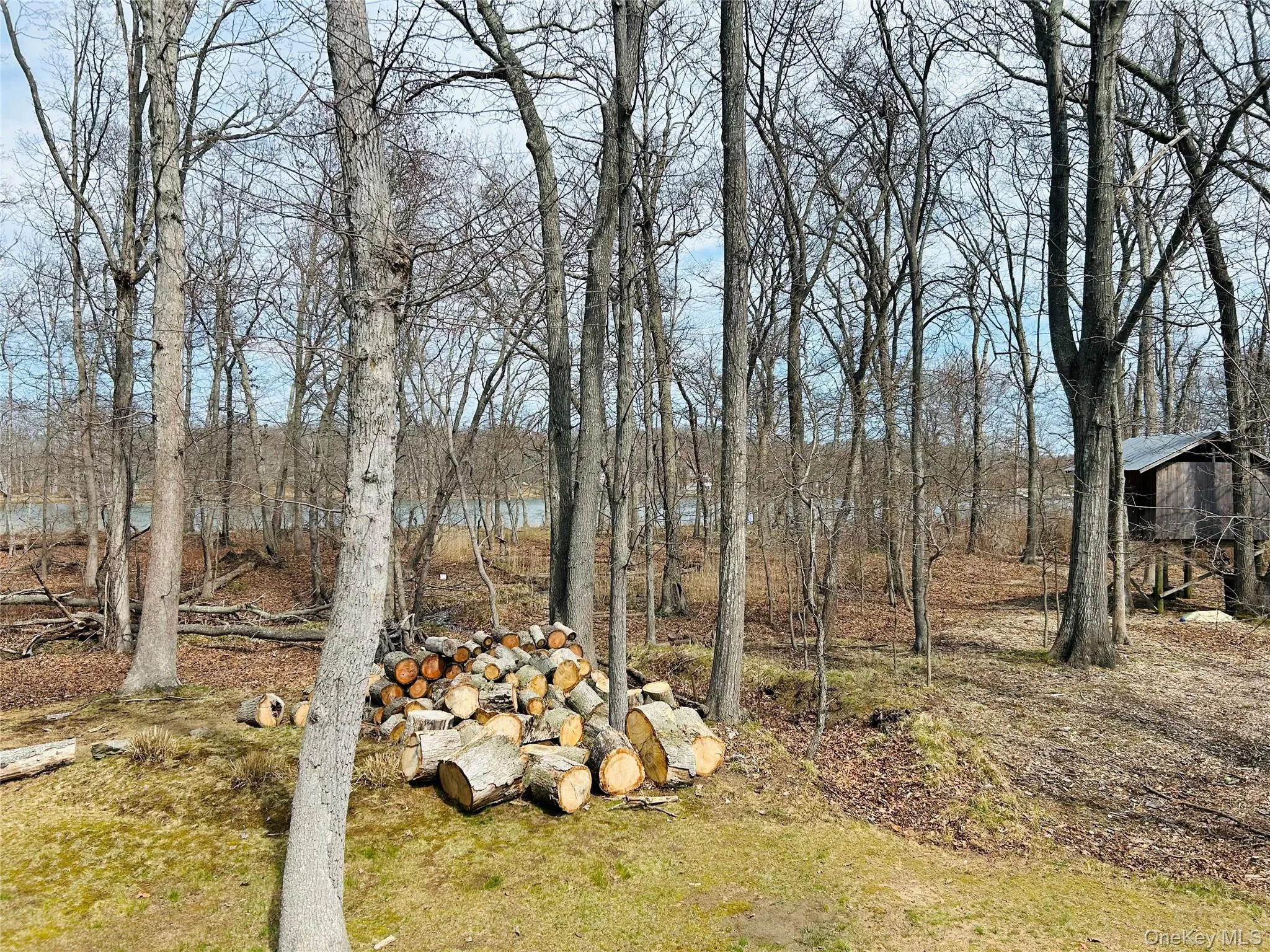 465 Tarpon Drive, Southold, NY, 3 Bedrooms Bedrooms, 8 Rooms Rooms,2 BathroomsBathrooms,Residential Lease,For Rent,Tarpon,0,935540 465 Tarpon Drive, Southold, NY, 3 Bedrooms Bedrooms, 8 Rooms Rooms,2 BathroomsBathrooms,Residential Lease,For Rent,Tarpon,0,935540