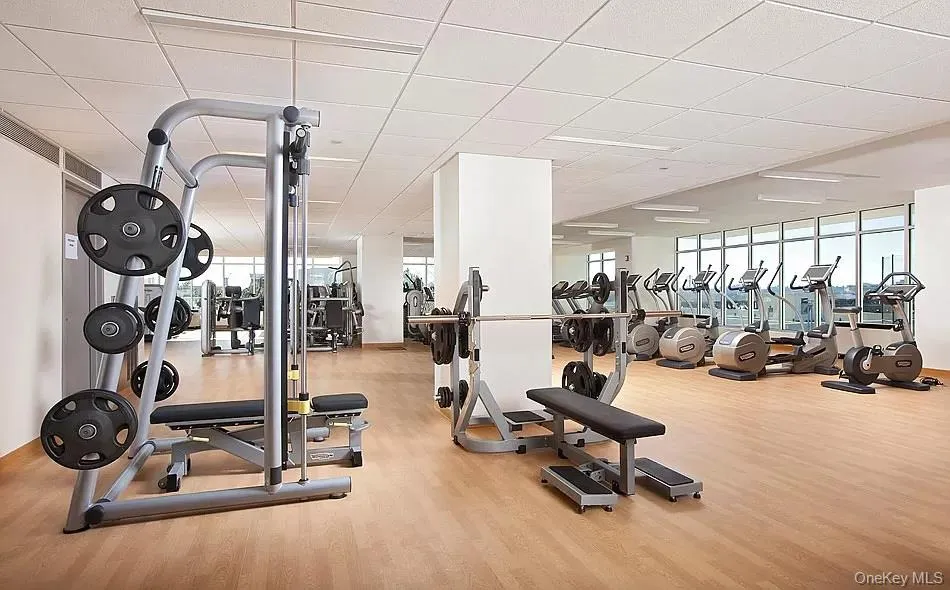 Gym featuring a drop ceiling and floor to ceiling windows Gym featuring a drop ceiling and floor to ceiling windows