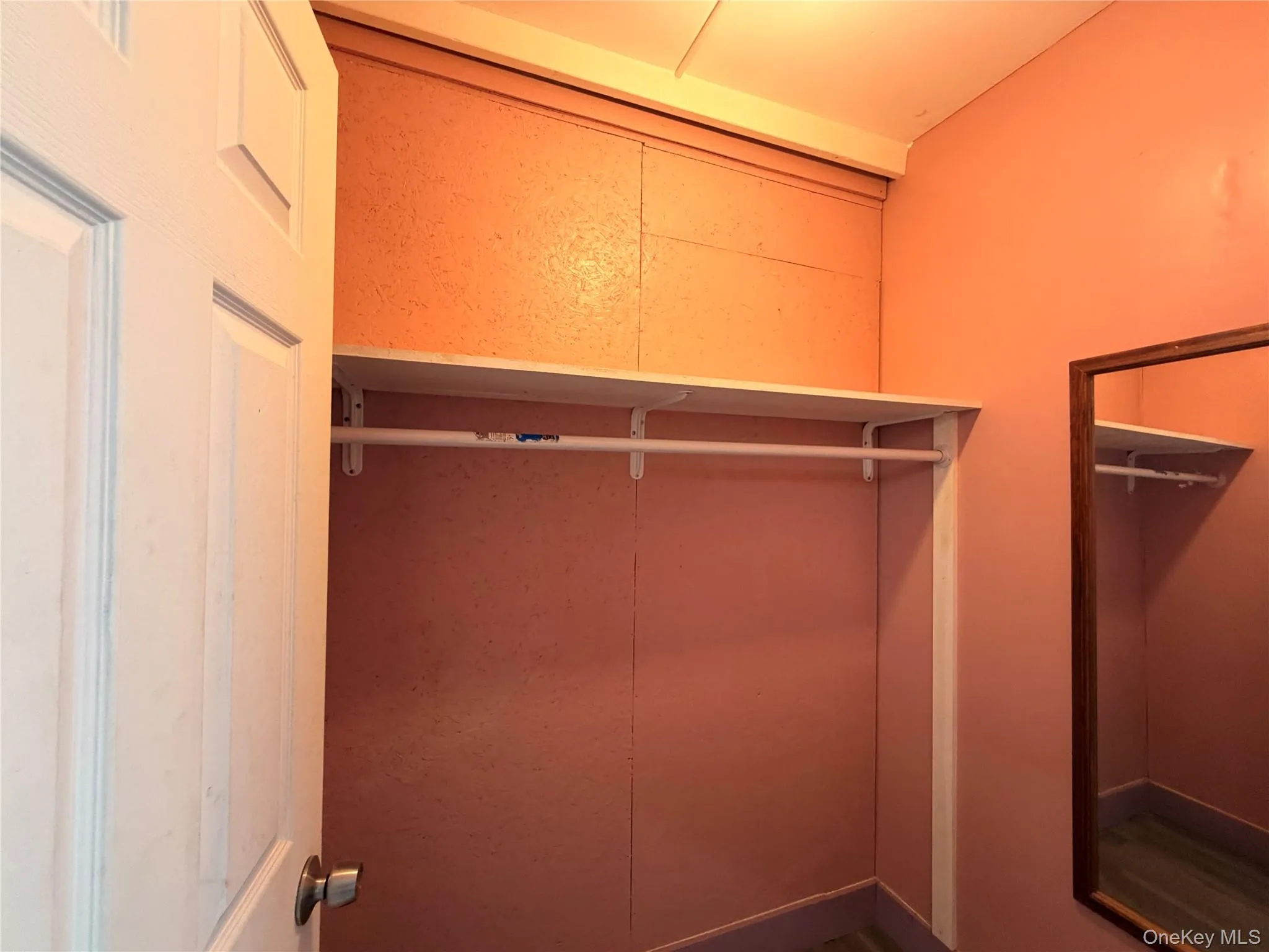 View of walk in closet View of walk in closet