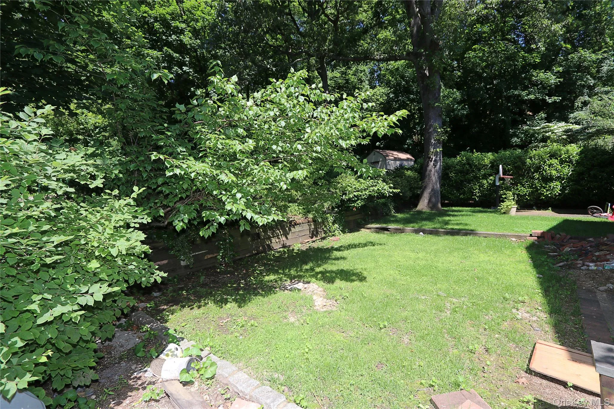 View of grassy yard View of grassy yard