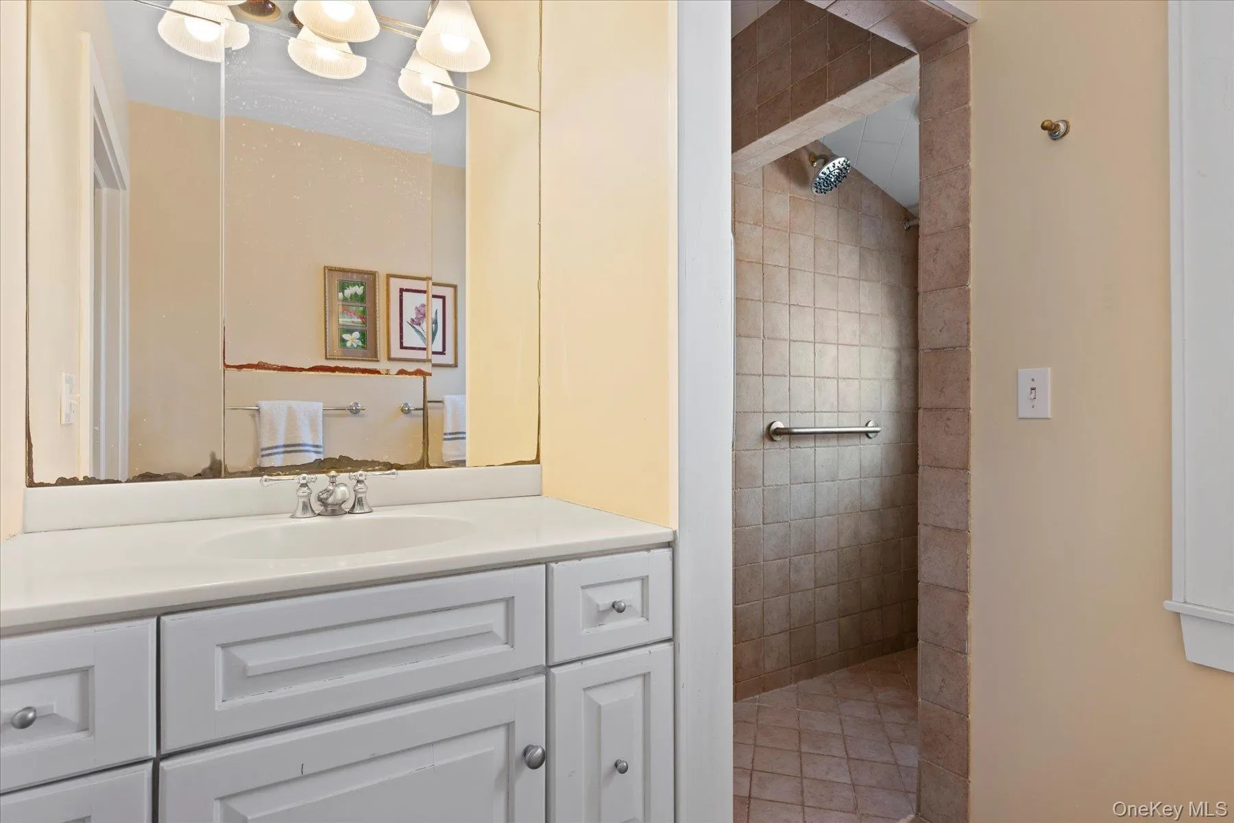 Primary Bathroom featuring tiled shower, and vanity Primary Bathroom featuring tiled shower, and vanity