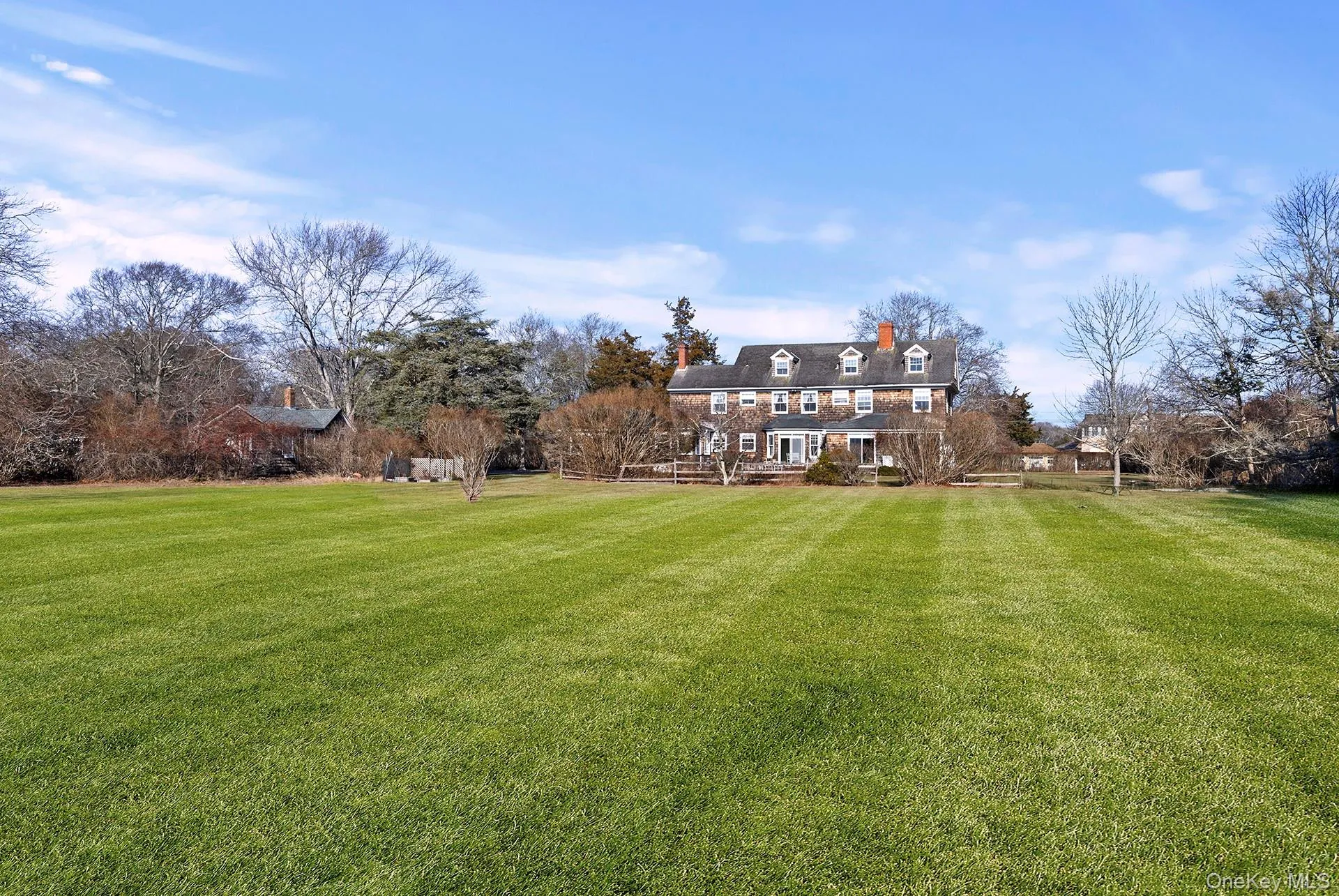 Expansive Lawn with room for pool and tennis court Expansive Lawn with room for pool and tennis court