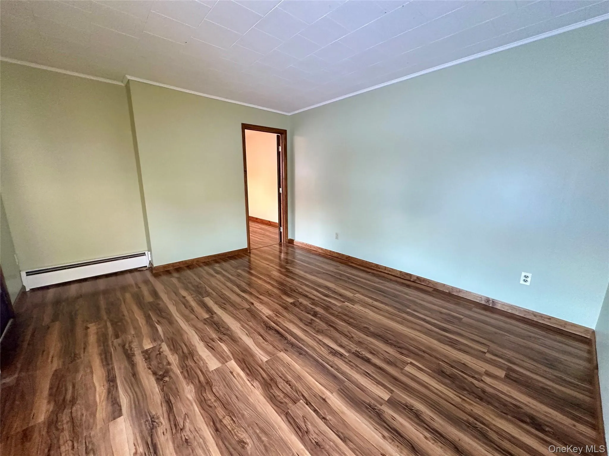 Spare room featuring crown molding, dark wood-style floors, and a baseboard heating unit Spare room featuring crown molding, dark wood-style floors, and a baseboard heating unit