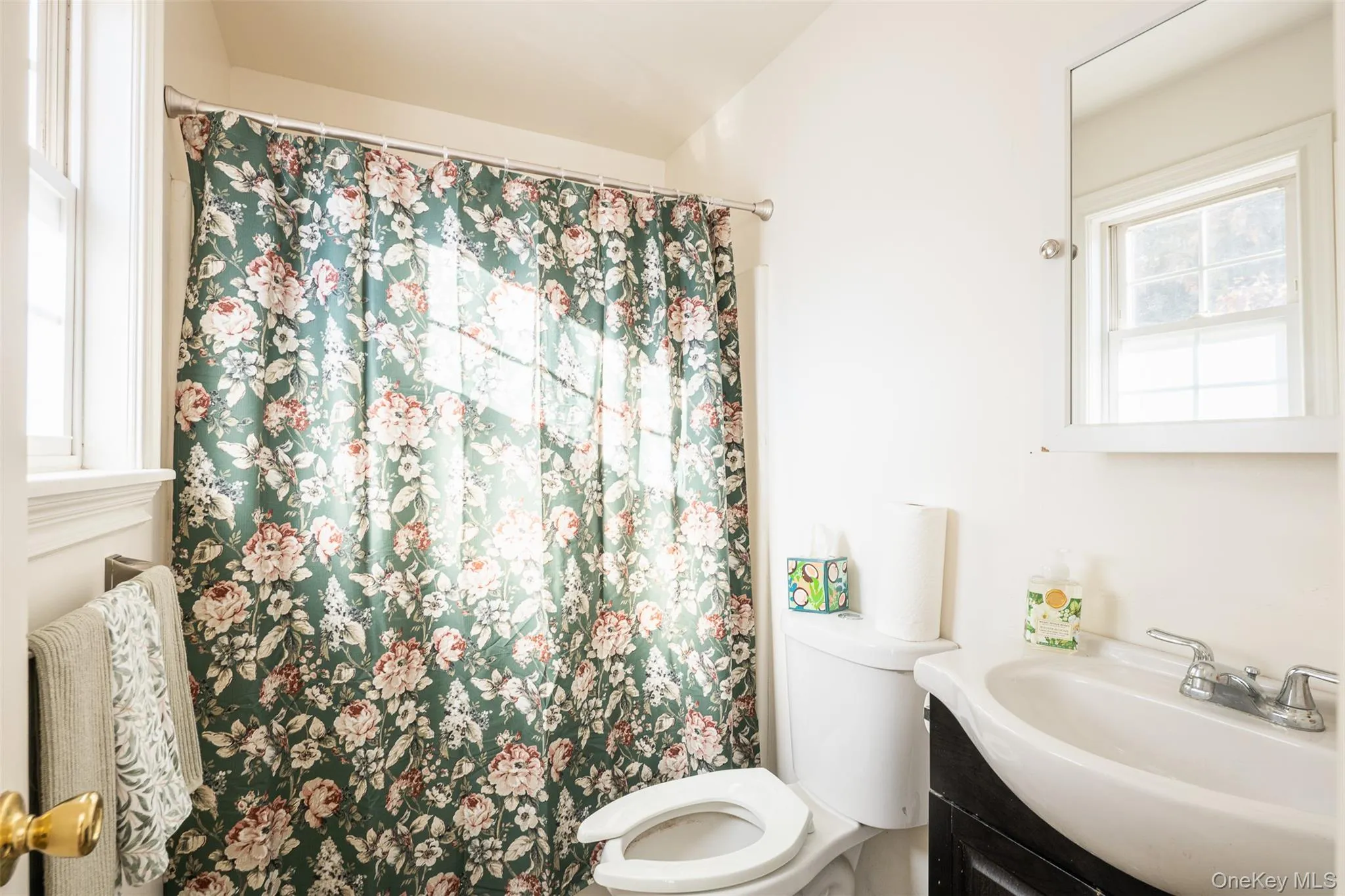 Bathroom with vanity and a shower with shower curtain Bathroom with vanity and a shower with shower curtain