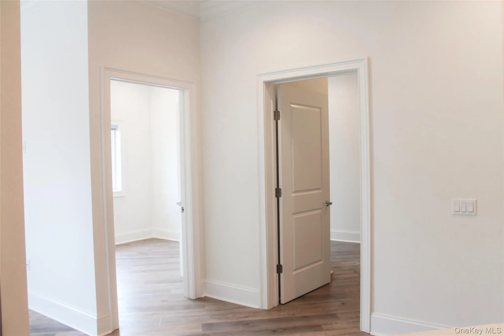 Hall featuring light wood-type flooring and ornamental molding Hall featuring light wood-type flooring and ornamental molding