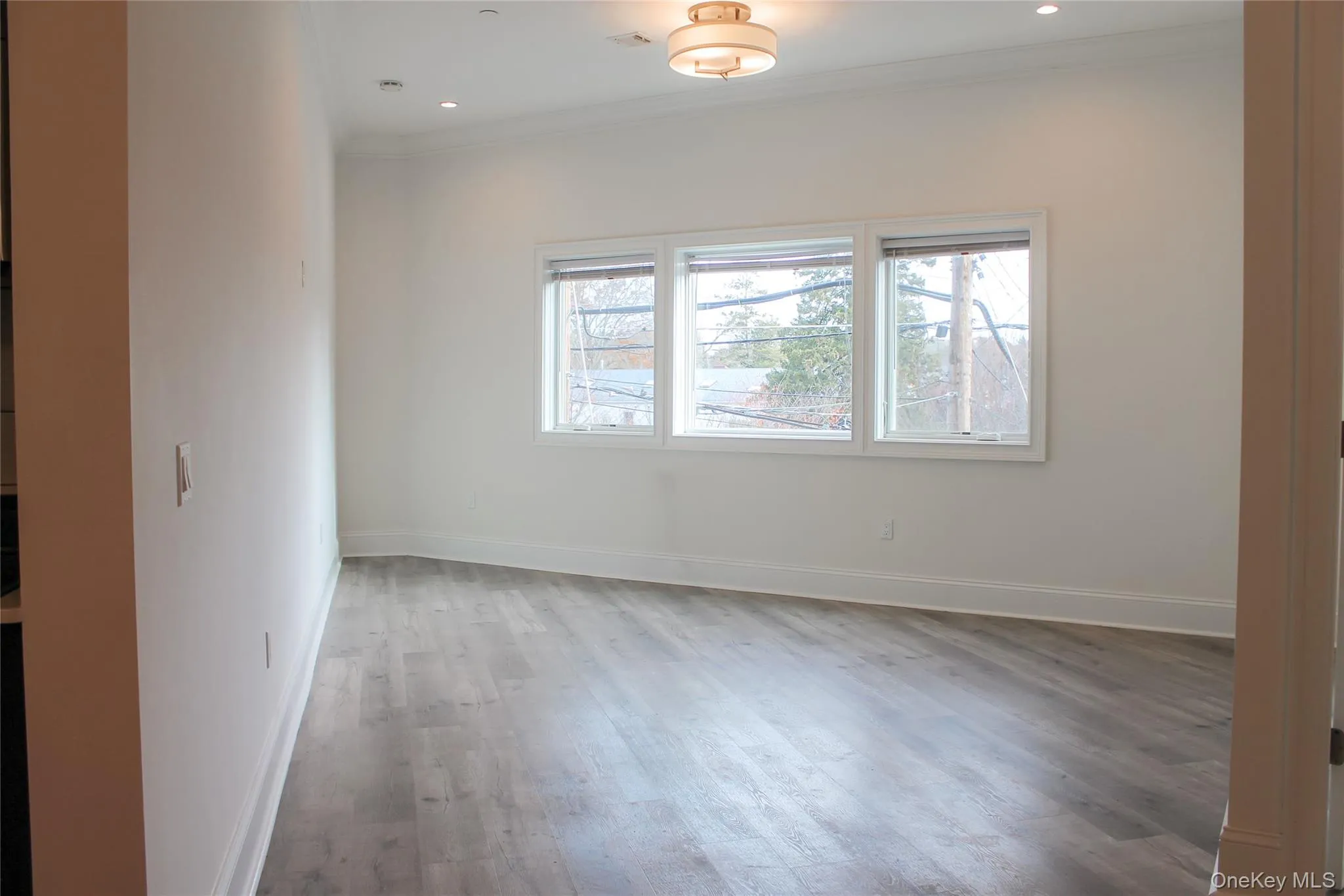 Spare room featuring crown molding and light wood-type flooring Spare room featuring crown molding and light wood-type flooring