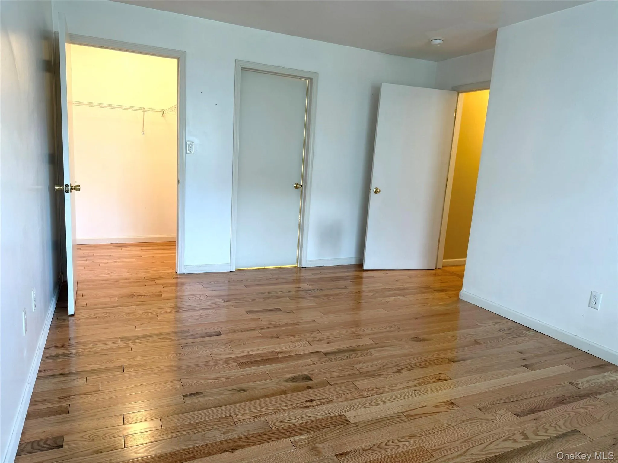 Unfurnished bedroom with light wood finished floors and a spacious closet Unfurnished bedroom with light wood finished floors and a spacious closet