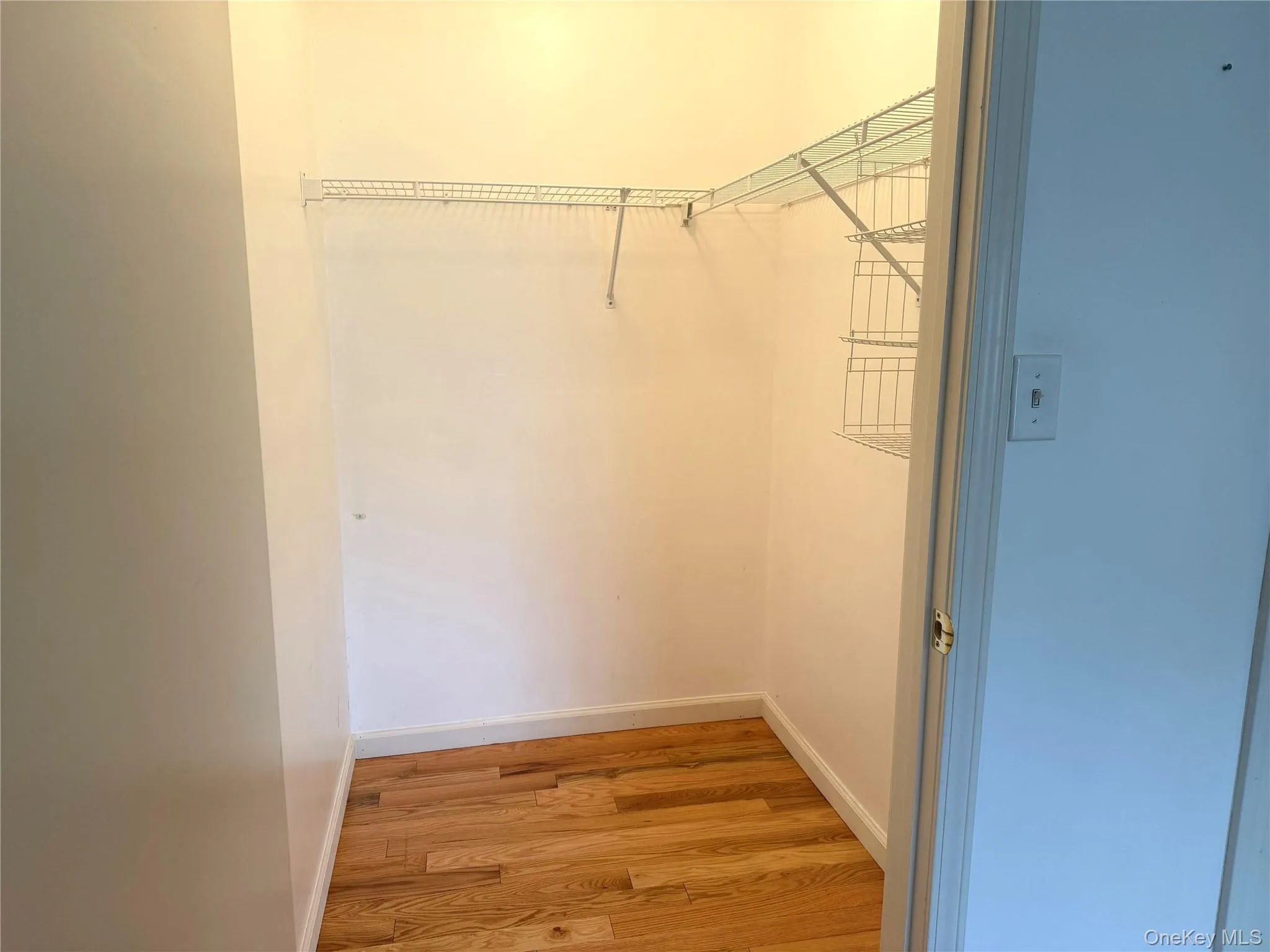 Spacious closet featuring light wood finished floors Spacious closet featuring light wood finished floors