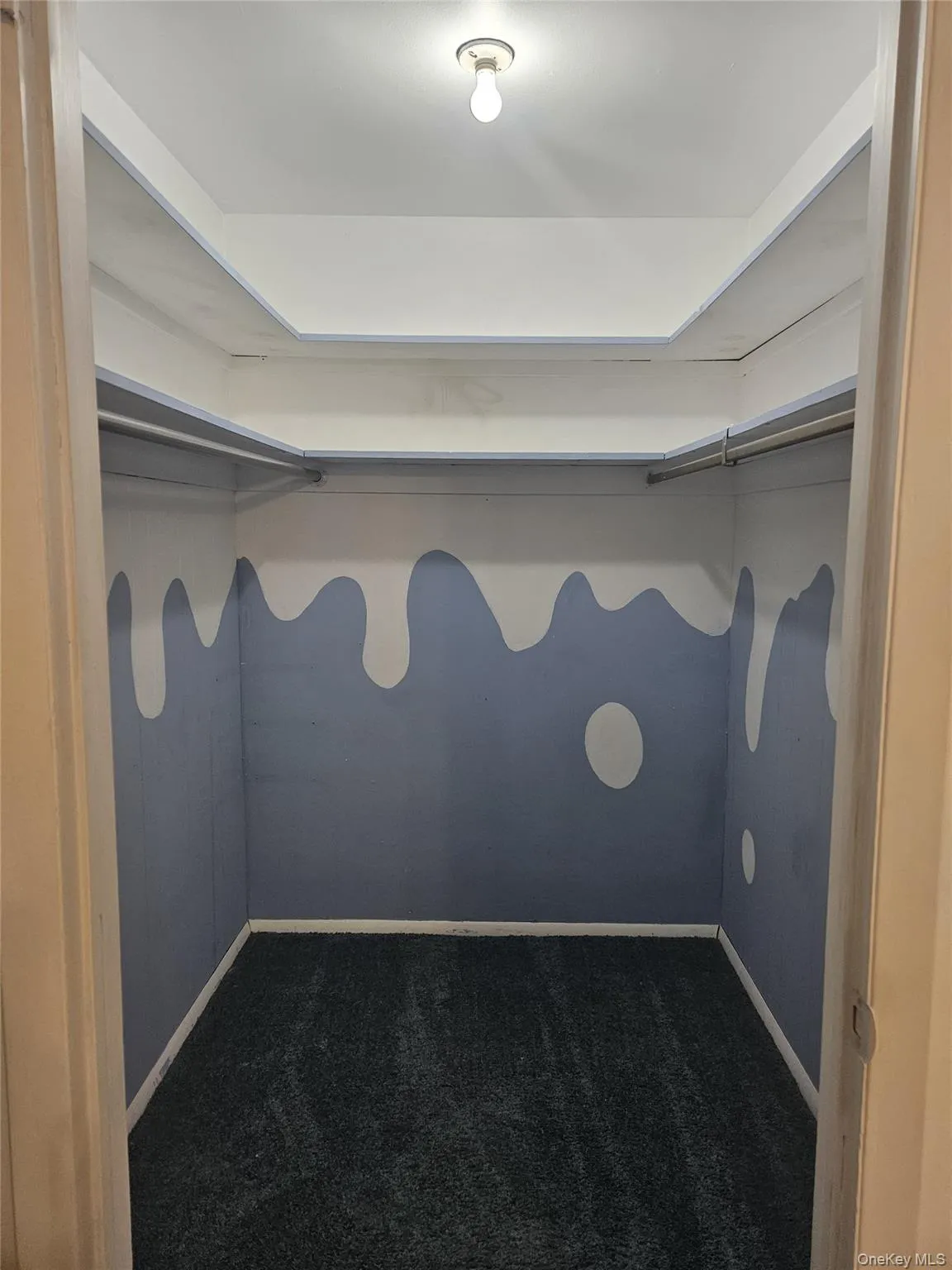 Walk in closet with dark colored carpet Walk in closet with dark colored carpet