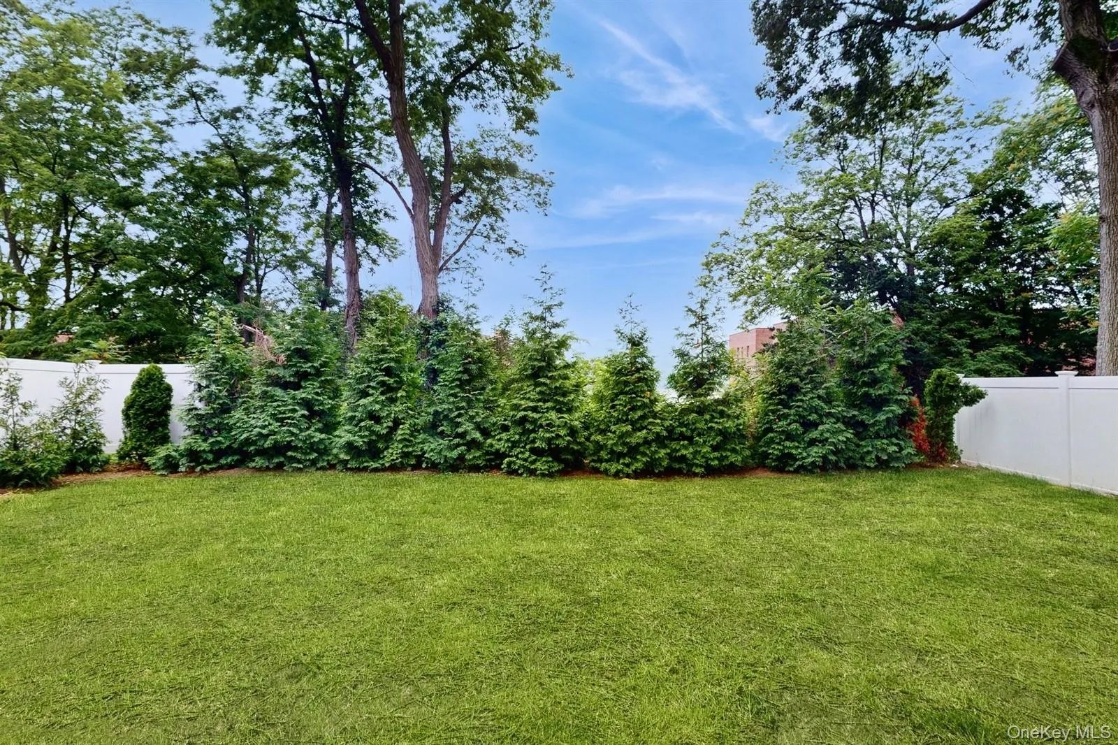 Another View of fenced backyard, featuring lush Evergreen Trees! Another View of fenced backyard, featuring lush Evergreen Trees!