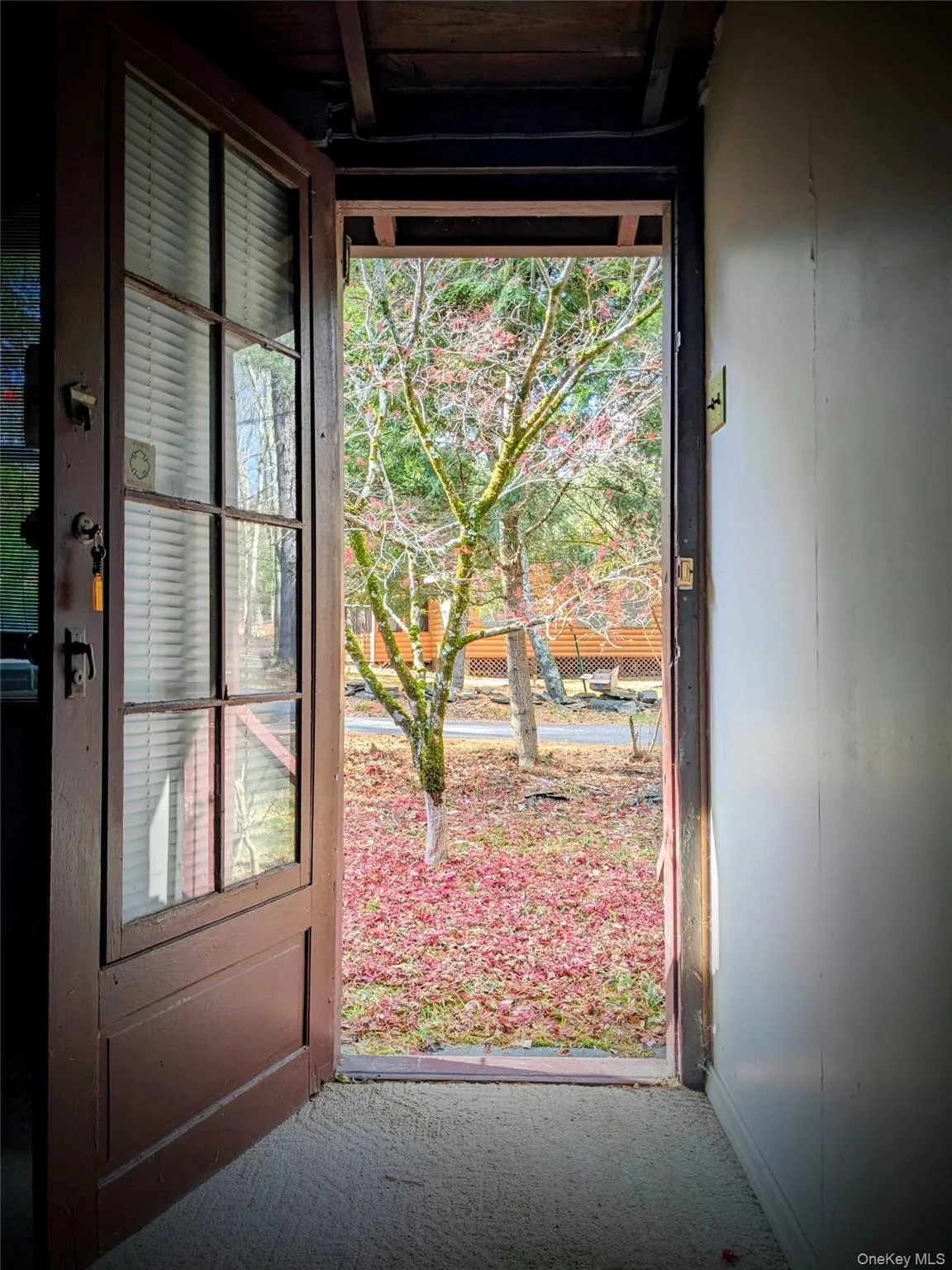 Doorway to outside featuring carpet floors Doorway to outside featuring carpet floors