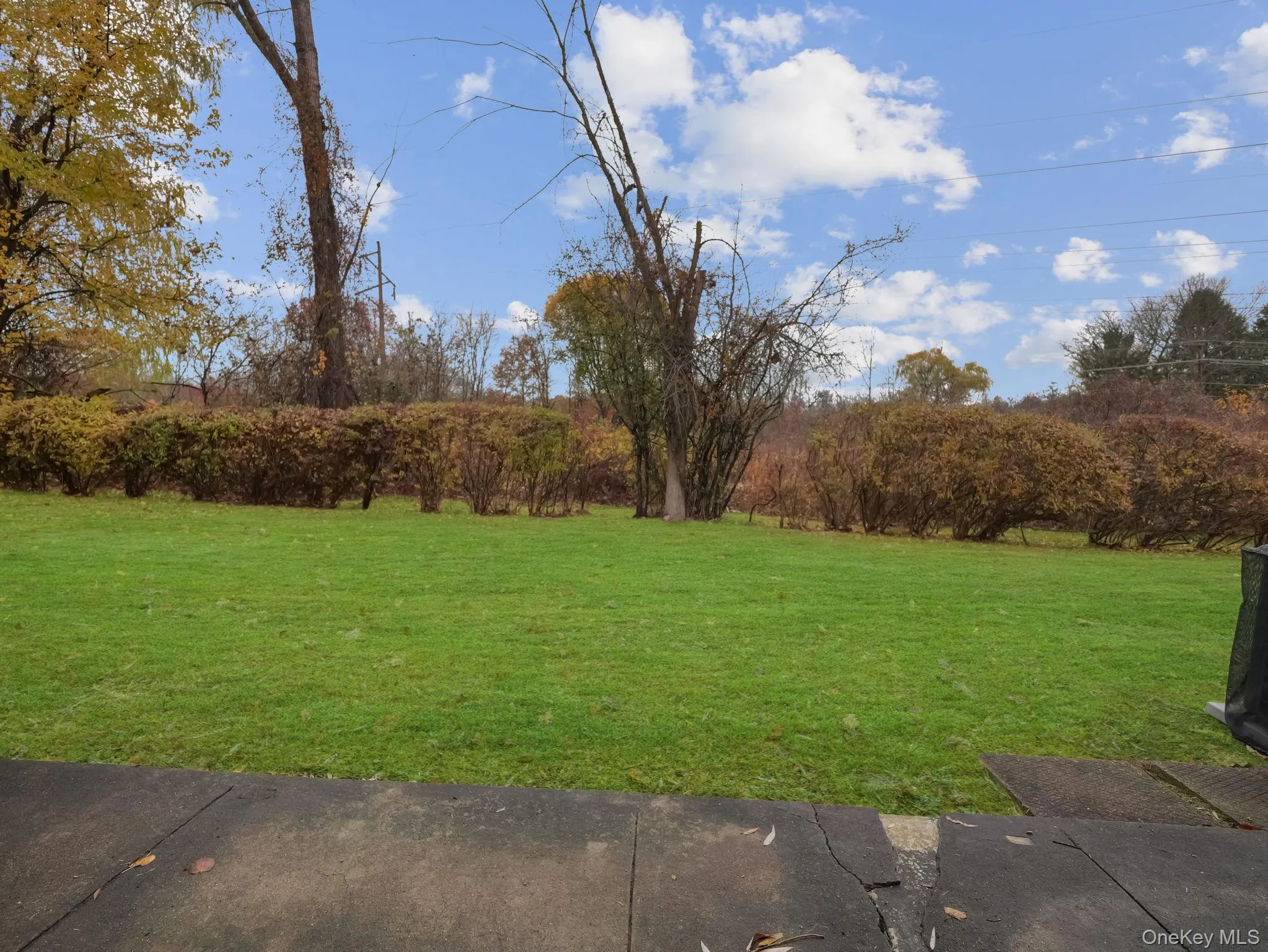 View of grassy yard View of grassy yard
