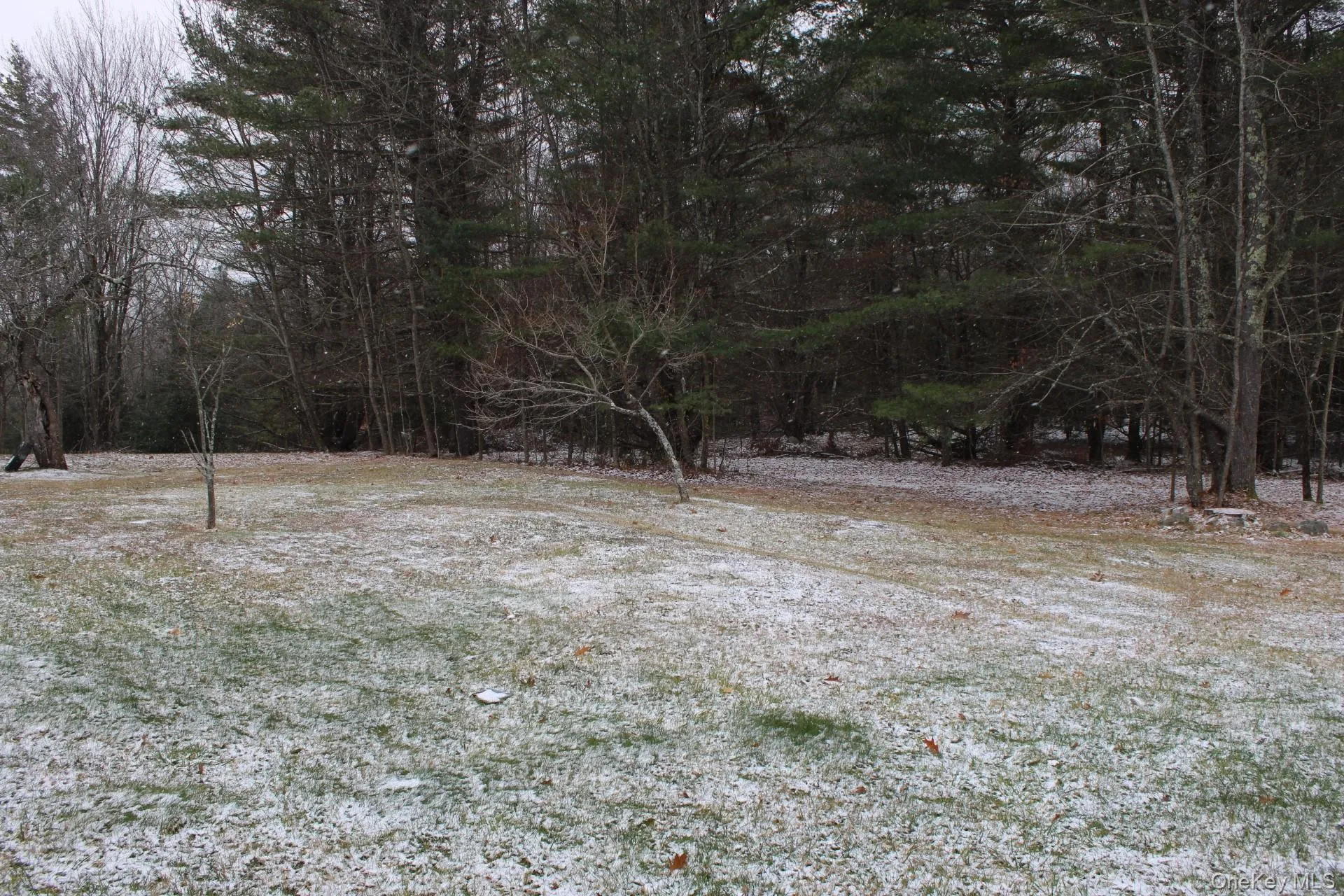 View of yard layered in snow View of yard layered in snow