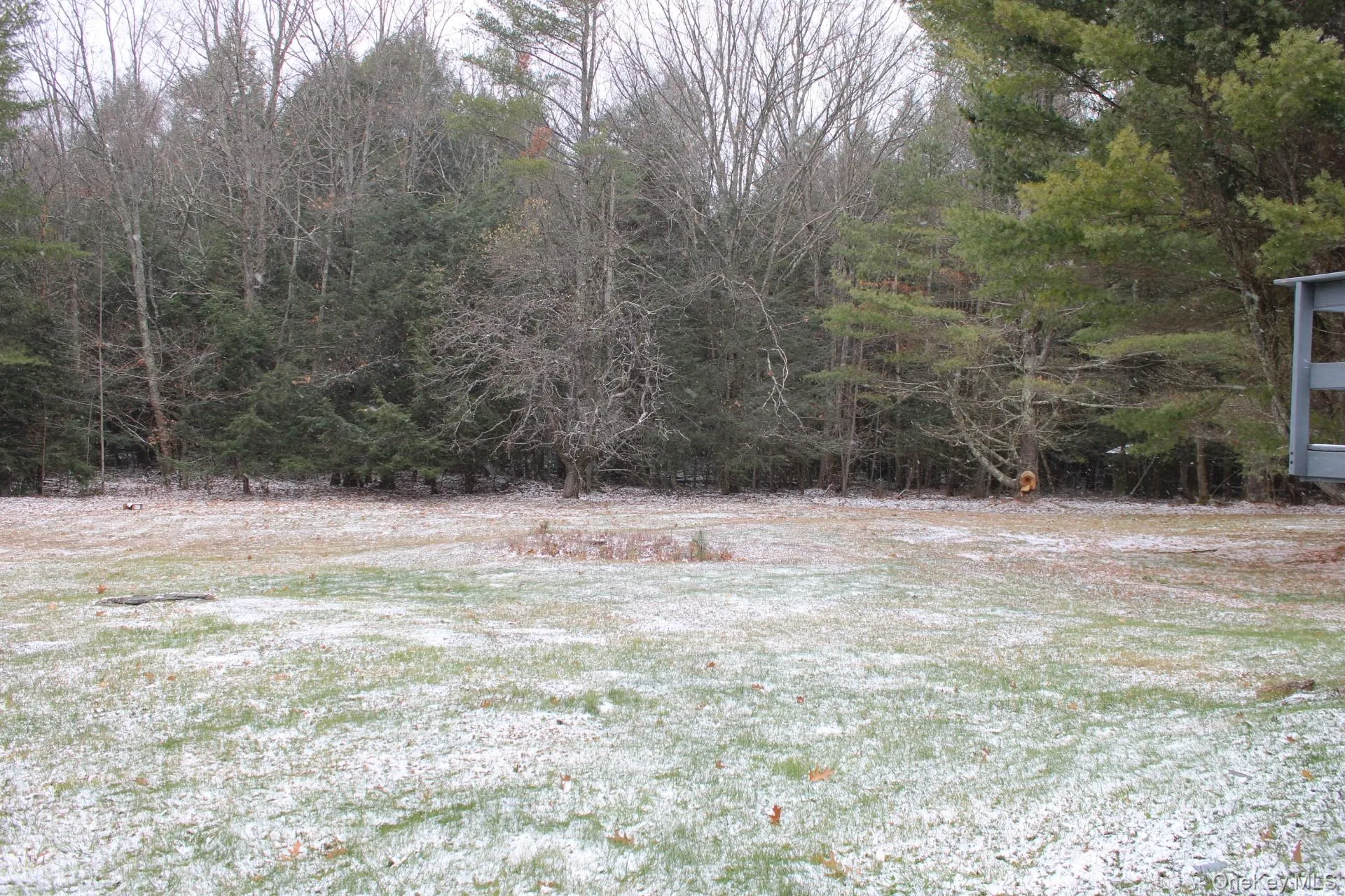 View of yard View of yard