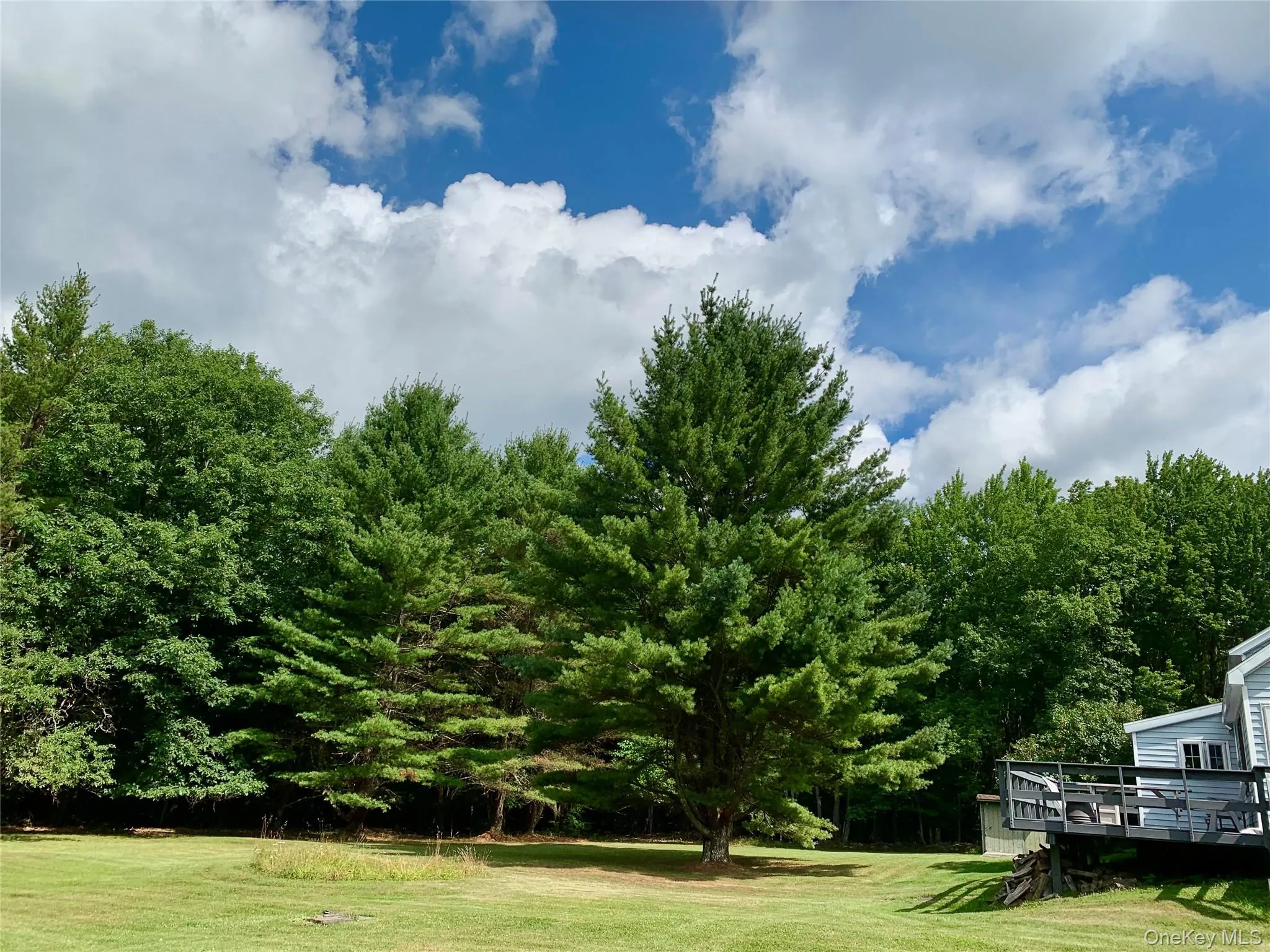 View of green lawn featuring a wooden deck View of green lawn featuring a wooden deck