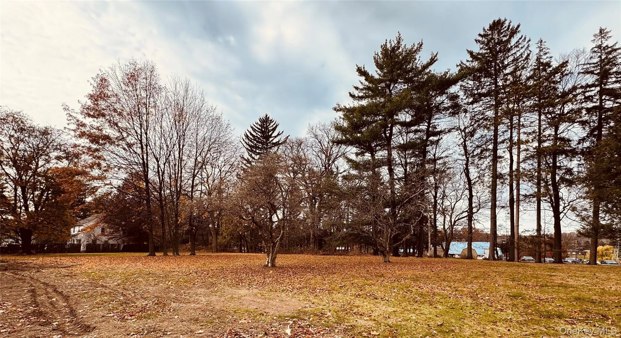 View of yard View of yard