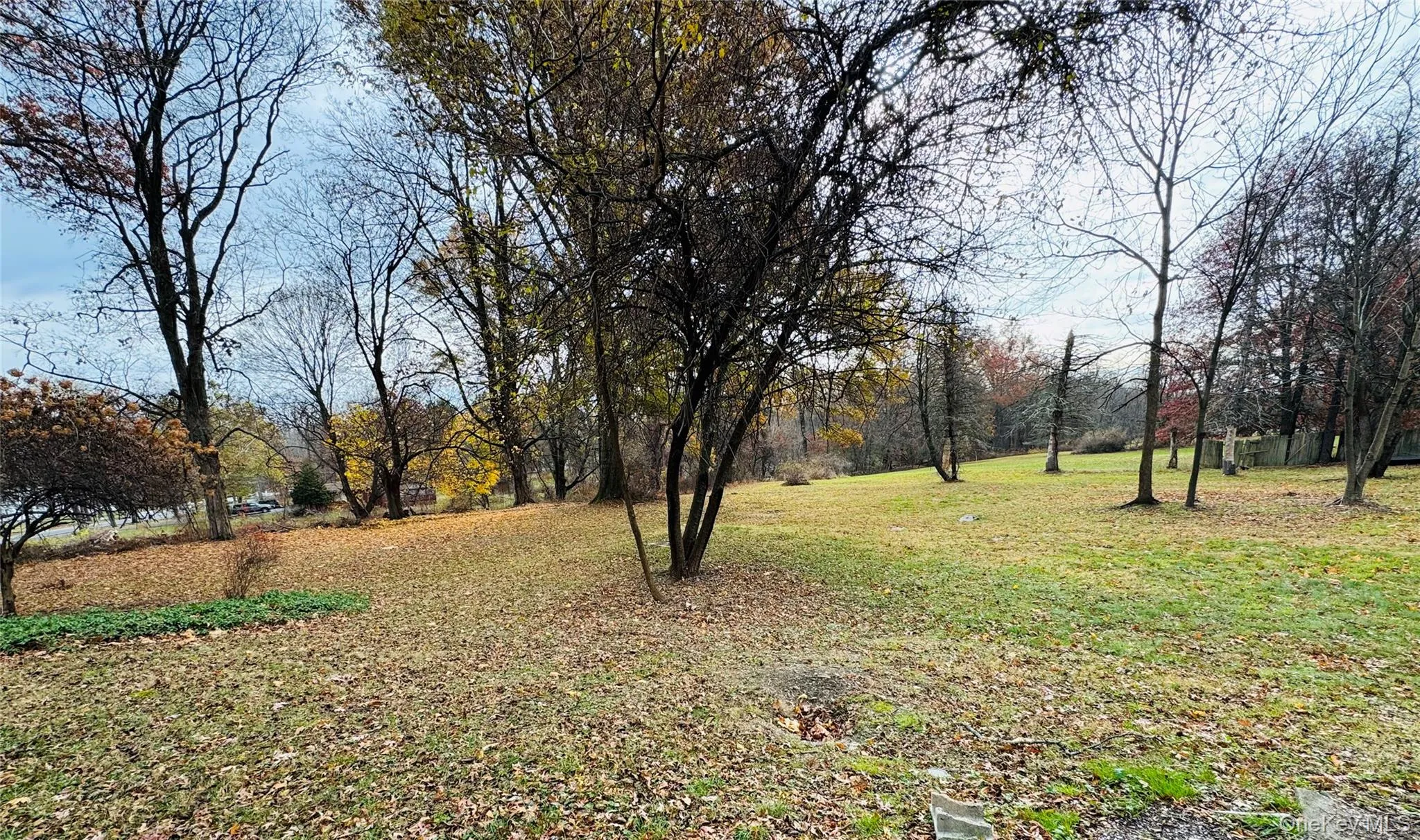 View of grassy yard View of grassy yard