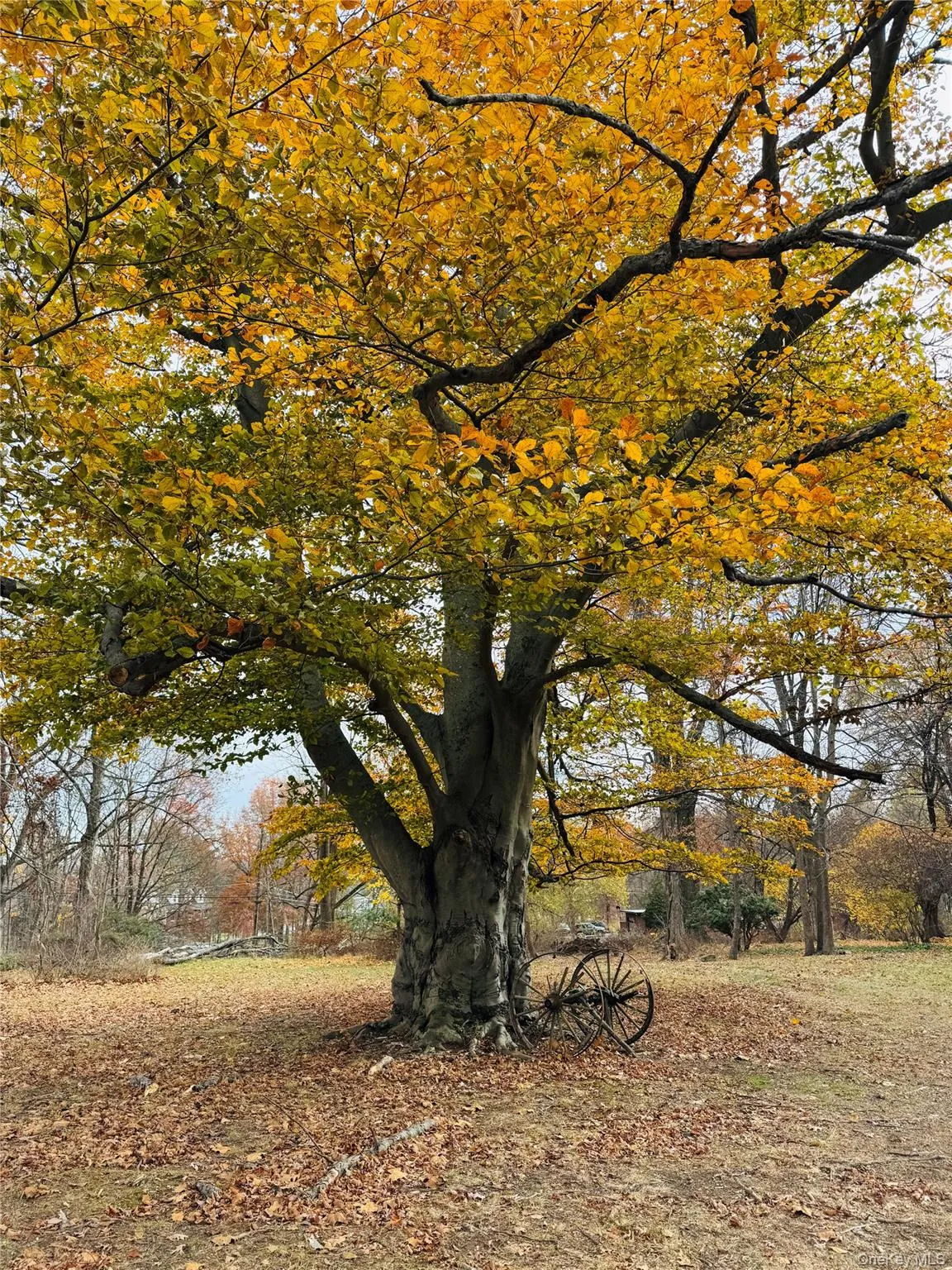 View of home's community View of home's community
