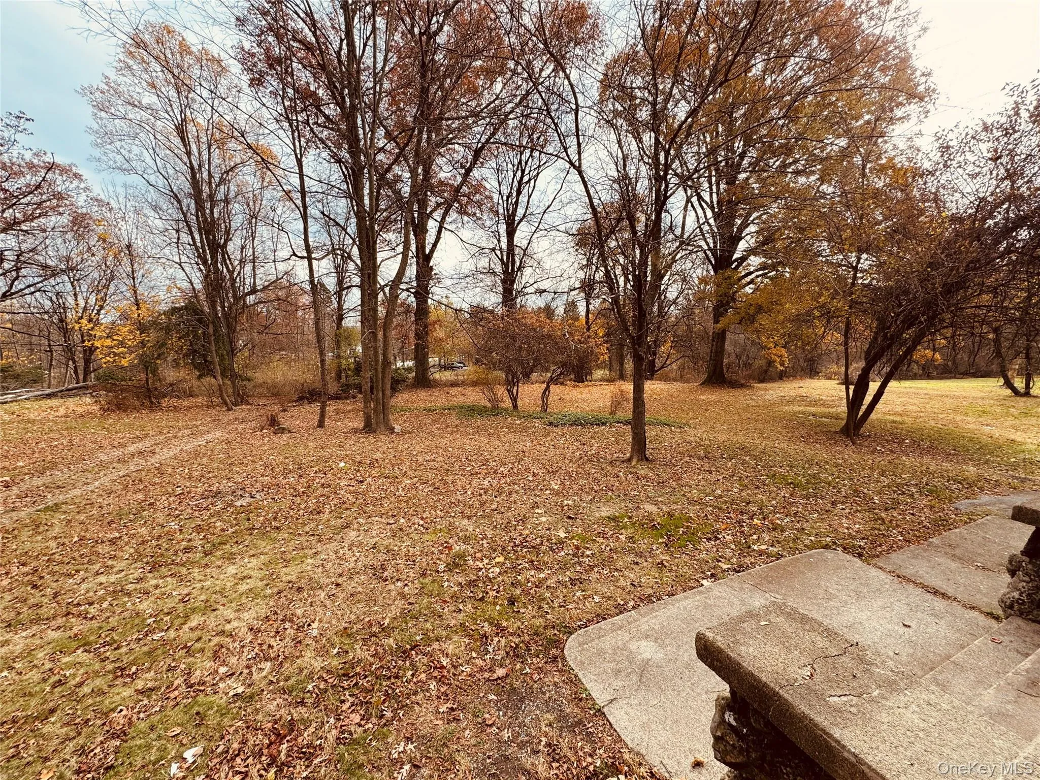 View of grassy yard View of grassy yard