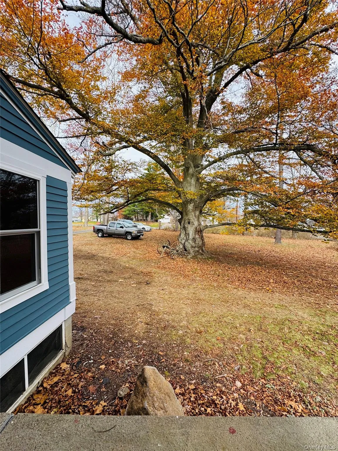 View of yard View of yard