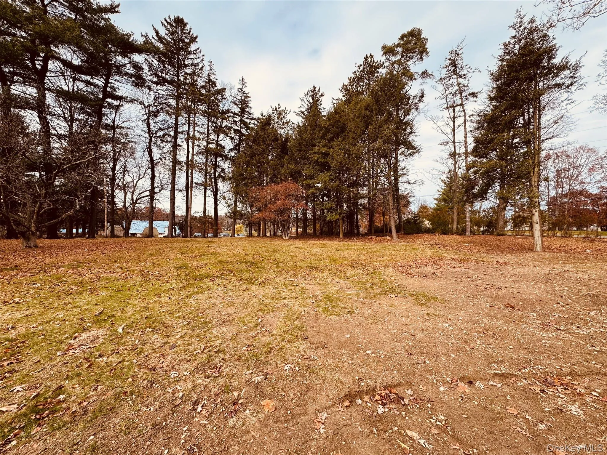 View of yard View of yard