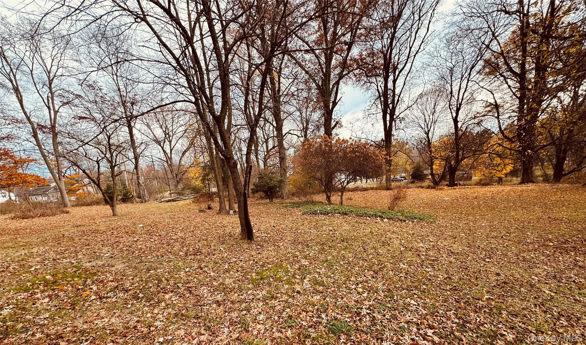 View of yard View of yard