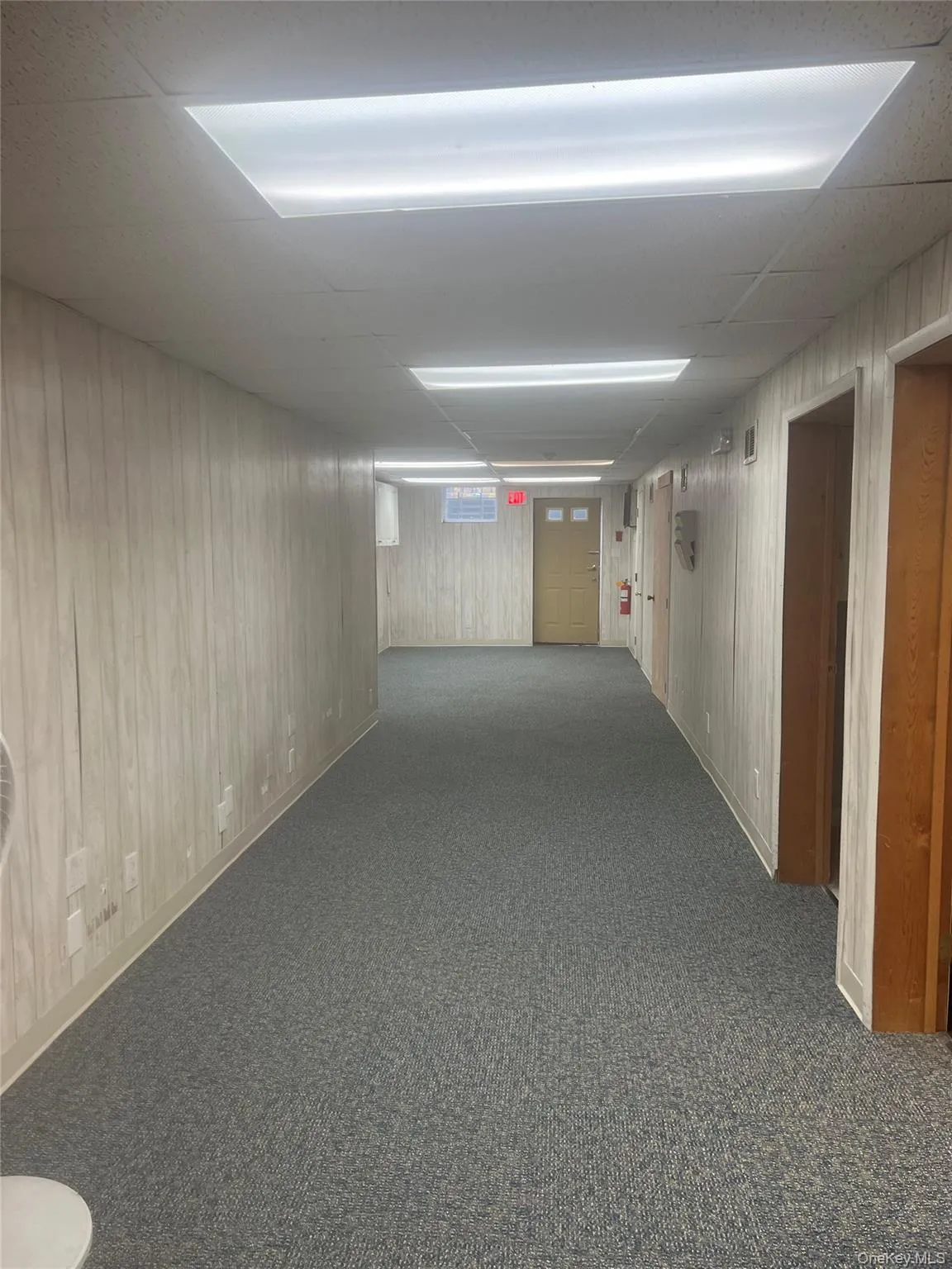 Below grade area with dark colored carpet and wood walls Below grade area with dark colored carpet and wood walls