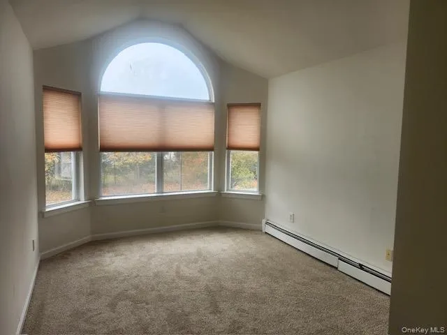 Carpeted empty room with baseboard heating and lofted ceiling Carpeted empty room with baseboard heating and lofted ceiling