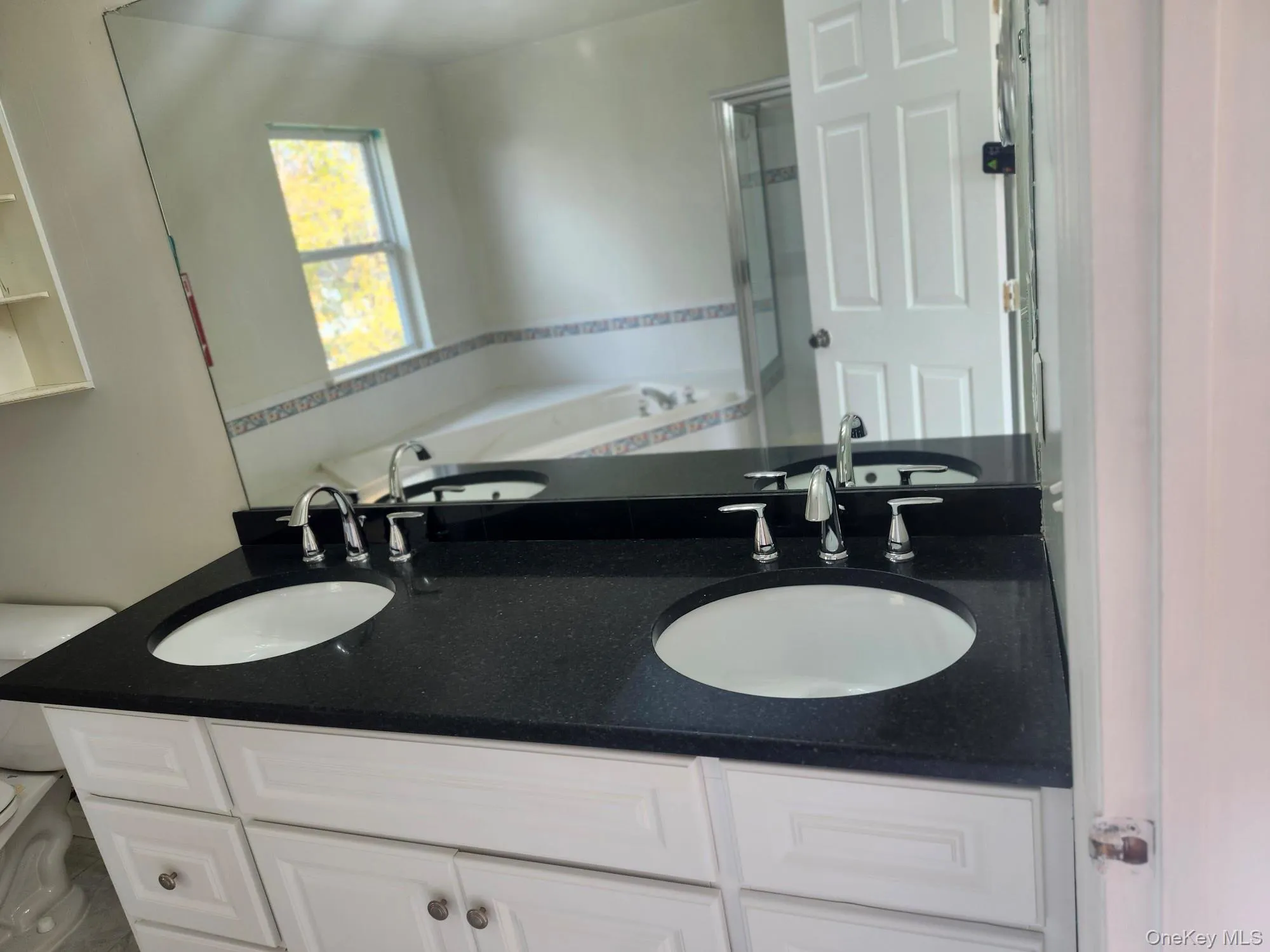 Full bathroom featuring double vanity, a shower stall, and a bath Full bathroom featuring double vanity, a shower stall, and a bath