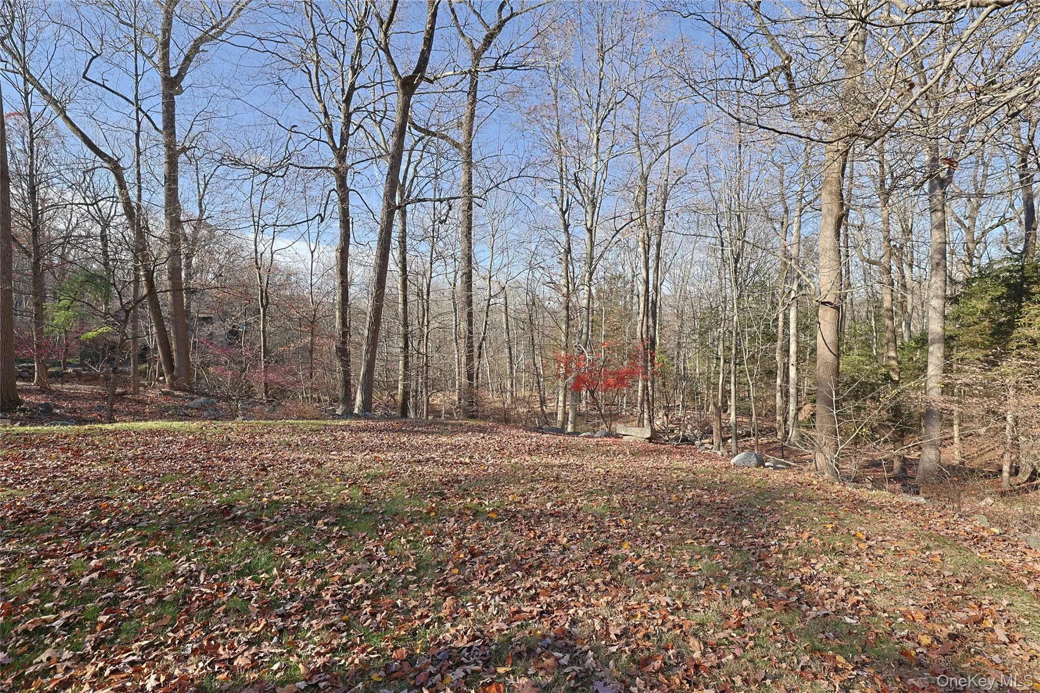 300 Clausland Mountain Road, Orangetown, NY, 2 Bedrooms Bedrooms, 7 Rooms Rooms,3 BathroomsBathrooms,Residential Lease,Idx,Clausland Mountain,0,936246 300 Clausland Mountain Road, Orangetown, NY, 2 Bedrooms Bedrooms, 7 Rooms Rooms,3 BathroomsBathrooms,Residential Lease,Idx,Clausland Mountain,0,936246