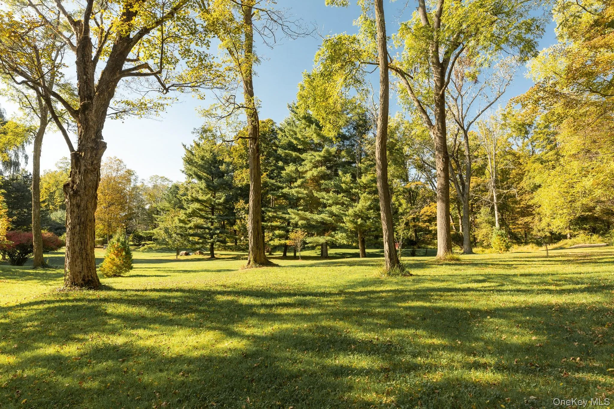 4-6 Old Primrose Hill Road, Rhinebeck, NY, 5 Bedrooms Bedrooms, 13 Rooms Rooms,4 BathroomsBathrooms,Residential Lease,For Rent,Old Primrose Hill,0,936265 4-6 Old Primrose Hill Road, Rhinebeck, NY, 5 Bedrooms Bedrooms, 13 Rooms Rooms,4 BathroomsBathrooms,Residential Lease,For Rent,Old Primrose Hill,0,936265