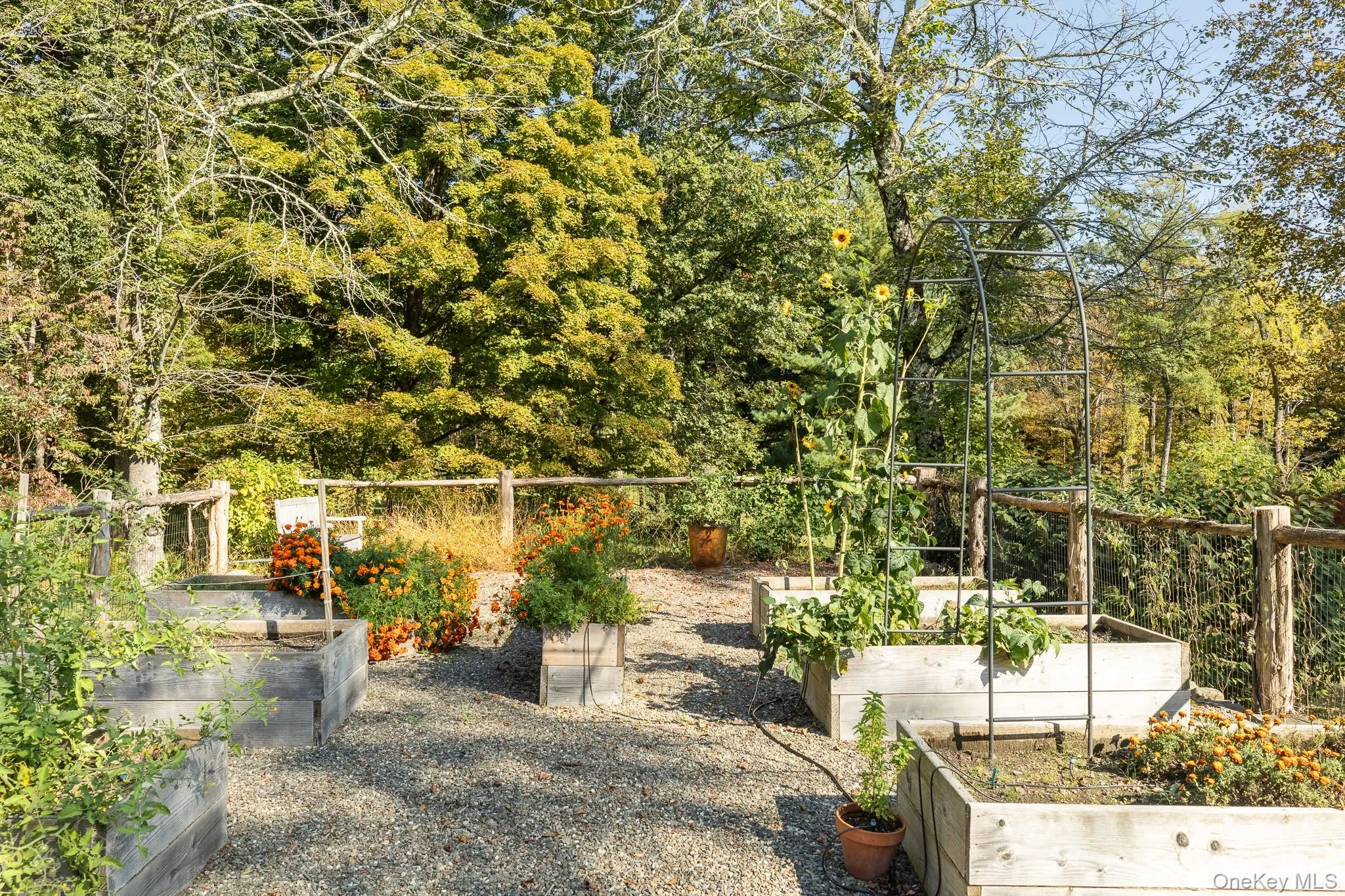 4-6 Old Primrose Hill Road, Rhinebeck, NY, 5 Bedrooms Bedrooms, 13 Rooms Rooms,4 BathroomsBathrooms,Residential Lease,For Rent,Old Primrose Hill,0,936265 4-6 Old Primrose Hill Road, Rhinebeck, NY, 5 Bedrooms Bedrooms, 13 Rooms Rooms,4 BathroomsBathrooms,Residential Lease,For Rent,Old Primrose Hill,0,936265