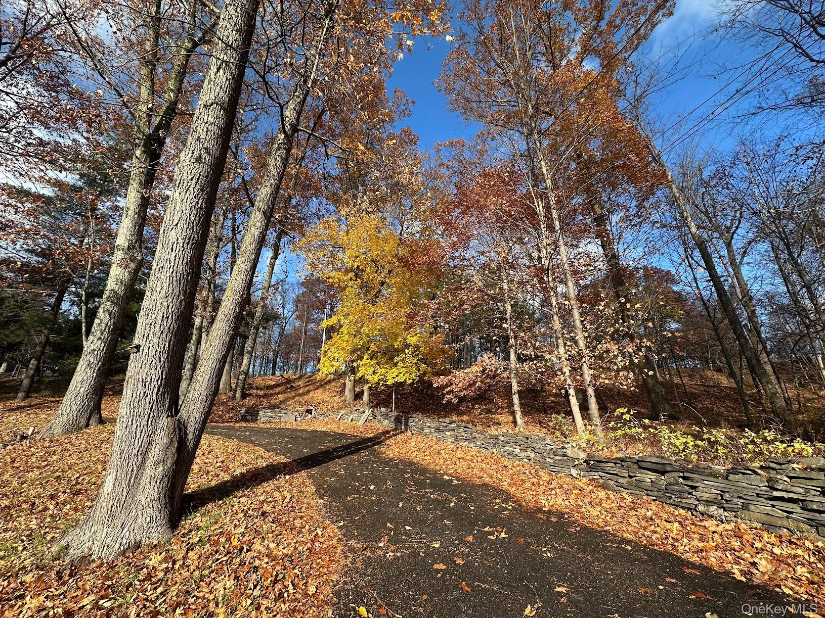with mature trees in a private setting... with mature trees in a private setting...