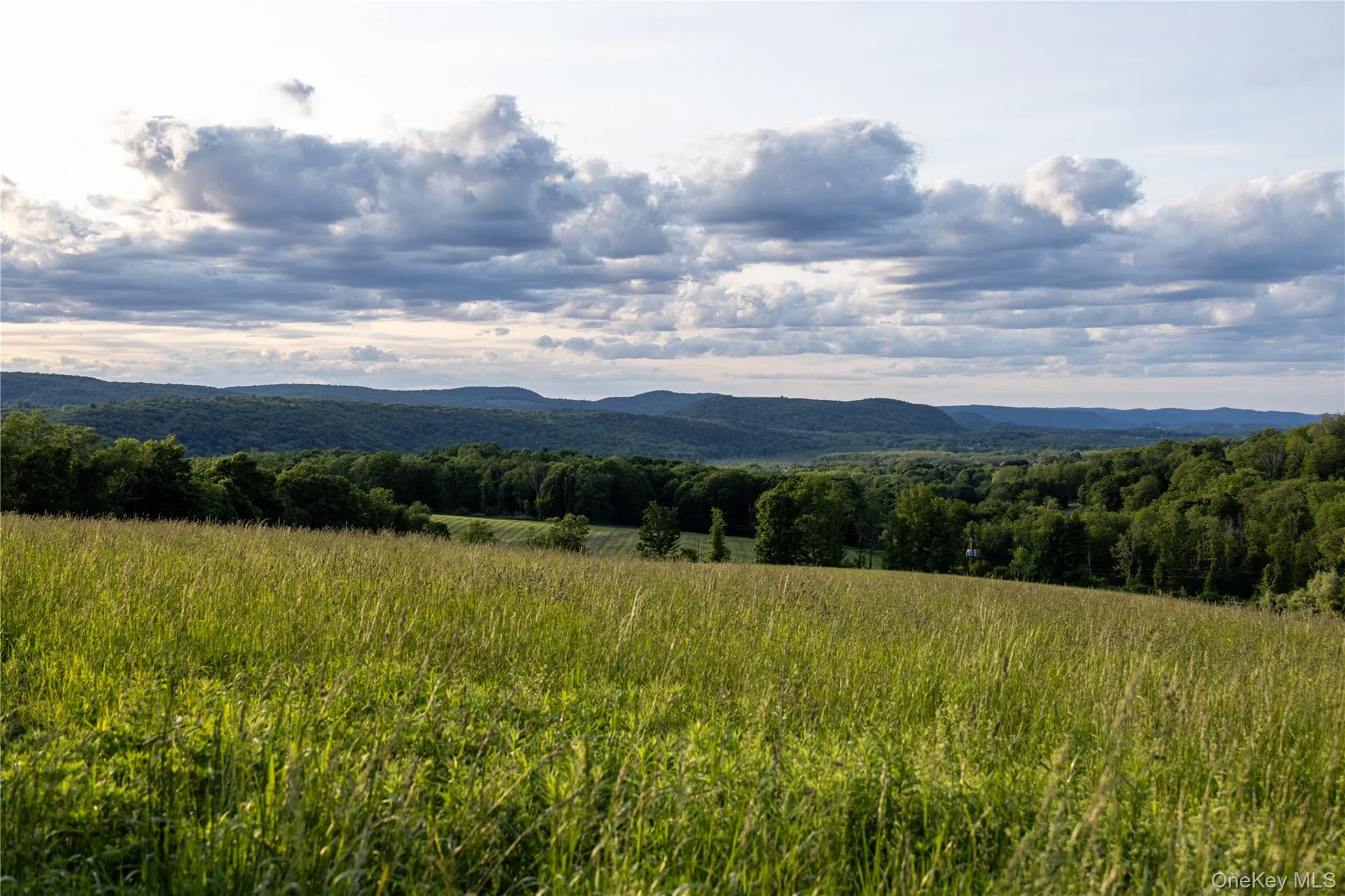 104 Garden Drive, Pawling, NY, 9 Bedrooms Bedrooms, 58 Rooms Rooms,9 BathroomsBathrooms,Residential,For Rent,Garden,0,936279 104 Garden Drive, Pawling, NY, 9 Bedrooms Bedrooms, 58 Rooms Rooms,9 BathroomsBathrooms,Residential,For Rent,Garden,0,936279
