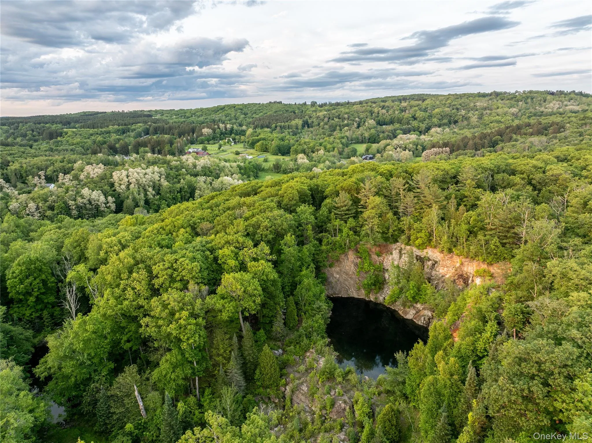 Cliff Pond - A Hidden Treasure. Tucked away at the end of a quiet dirt road, Cliff Pond is one of the estate's most unexpected and enchanting features. Cliff Pond - A Hidden Treasure. Tucked away at the end of a quiet dirt road, Cliff Pond is one of the estate's most unexpected and enchanting features.