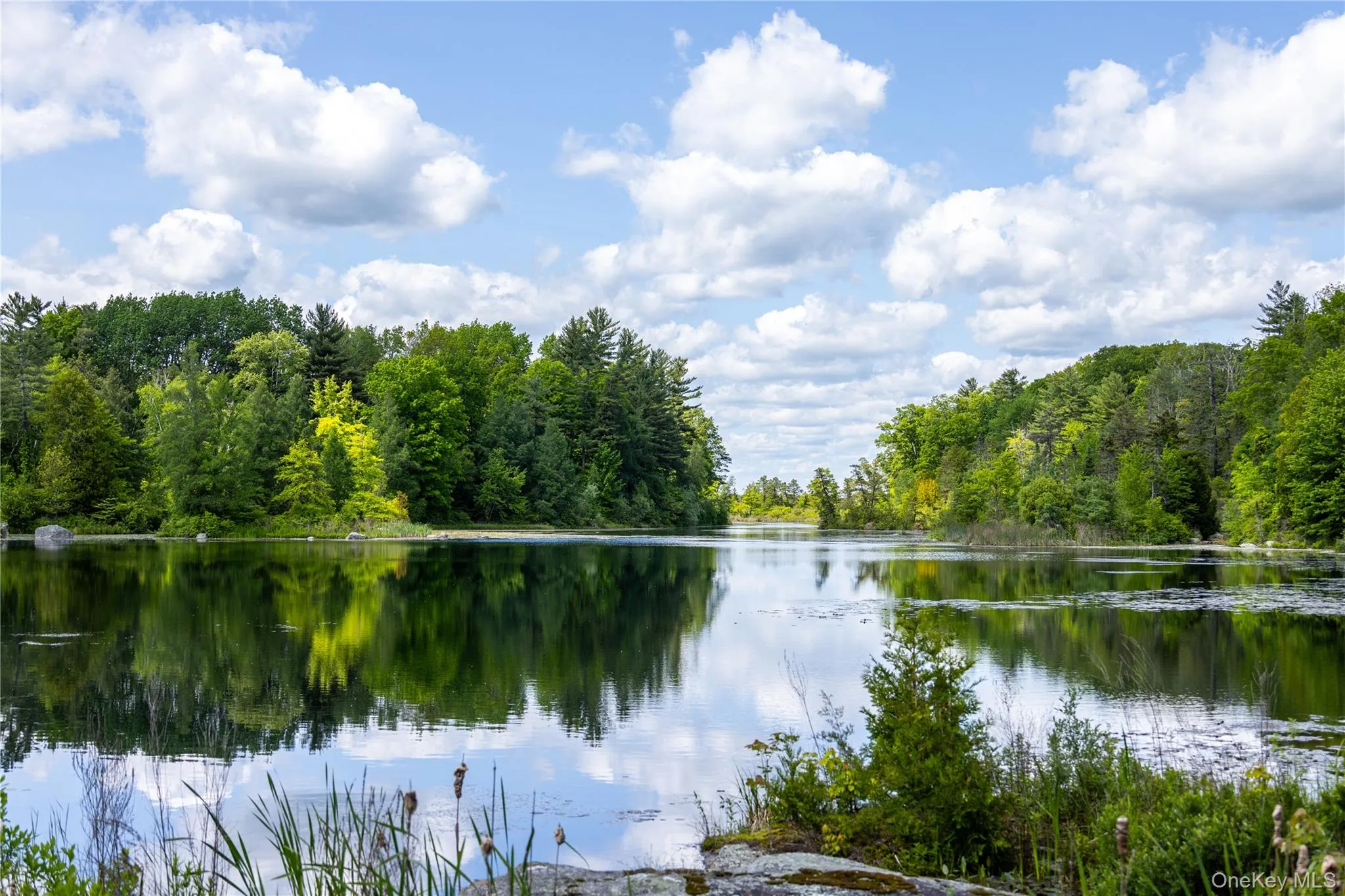 Another seasonal view of Ledge Pond. Another seasonal view of Ledge Pond.