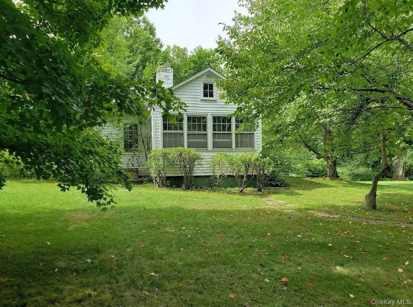 Lawn area for relaxing or a small garden Lawn area for relaxing or a small garden