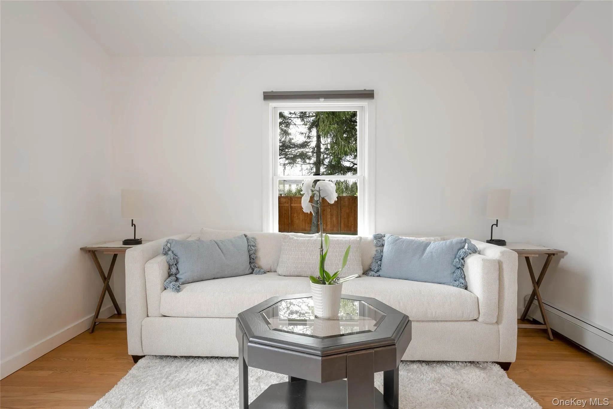 Living room with light wood finished floors Living room with light wood finished floors