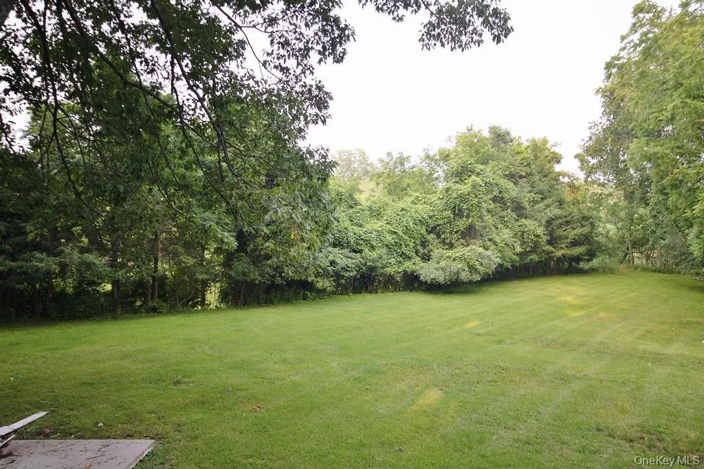 View of green lawn View of green lawn