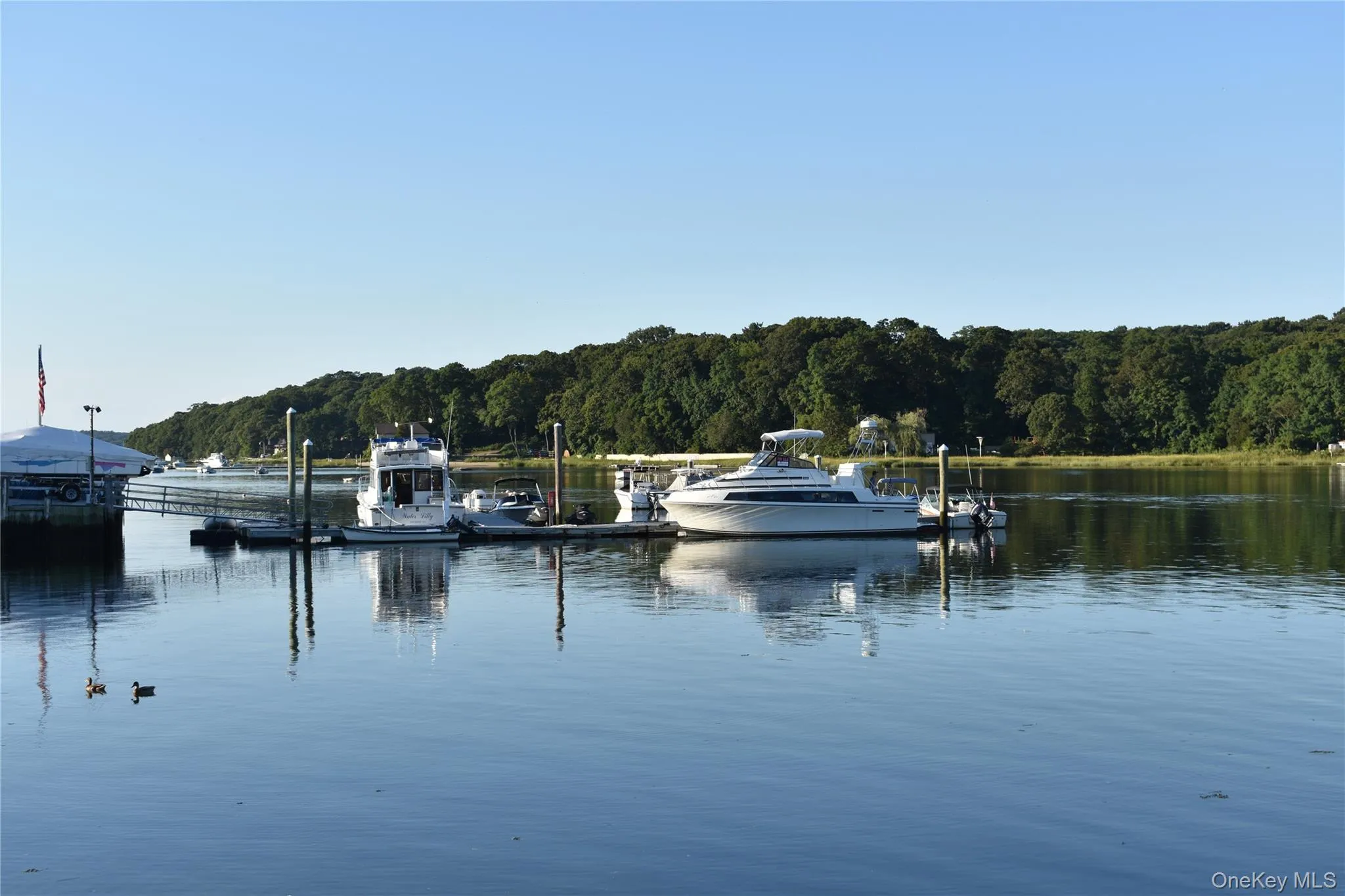 100 Centershore Road, Huntington, NY, ,Commercial Lease,Idx,Centershore,0,936373 100 Centershore Road, Huntington, NY, ,Commercial Lease,Idx,Centershore,0,936373