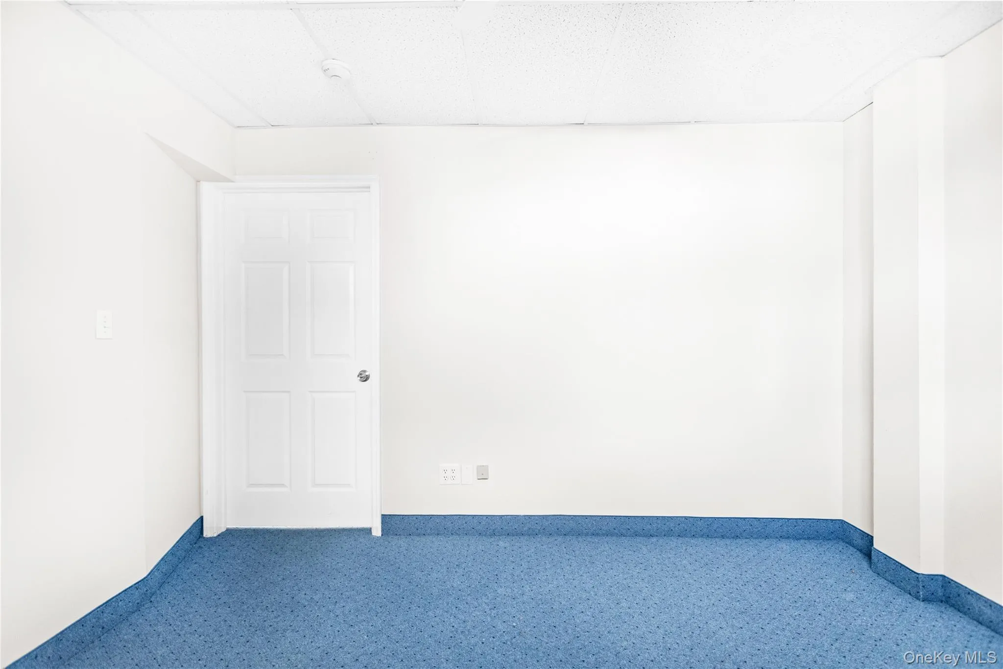 Office featuring a paneled ceiling and carpet floors Office featuring a paneled ceiling and carpet floors