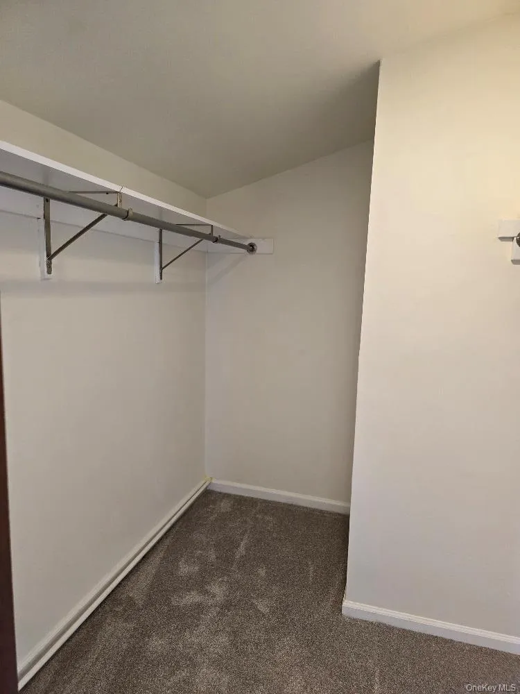 Spacious closet with dark colored carpet Spacious closet with dark colored carpet