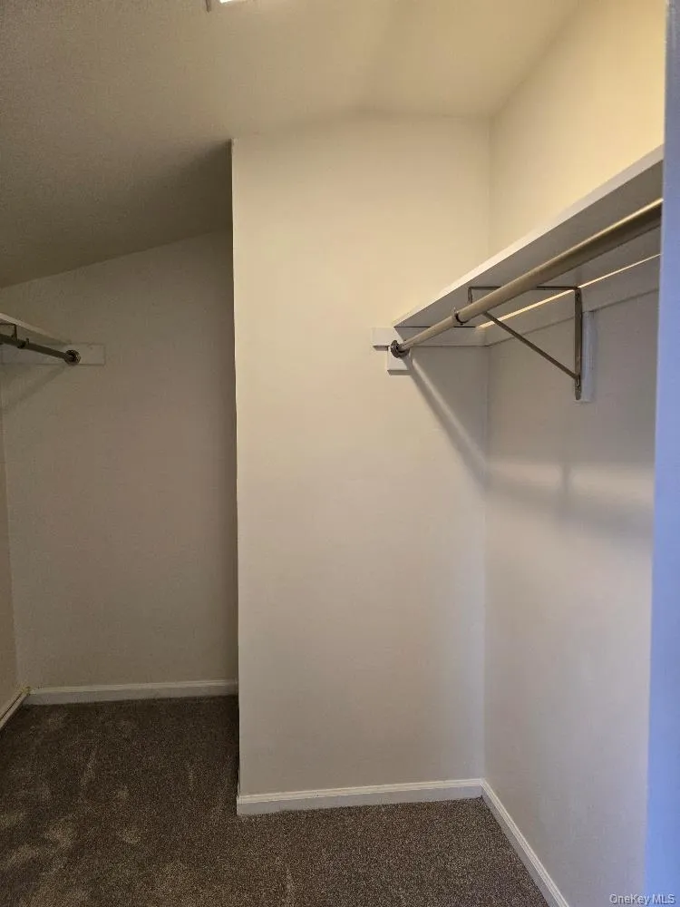 Spacious closet featuring dark colored carpet Spacious closet featuring dark colored carpet
