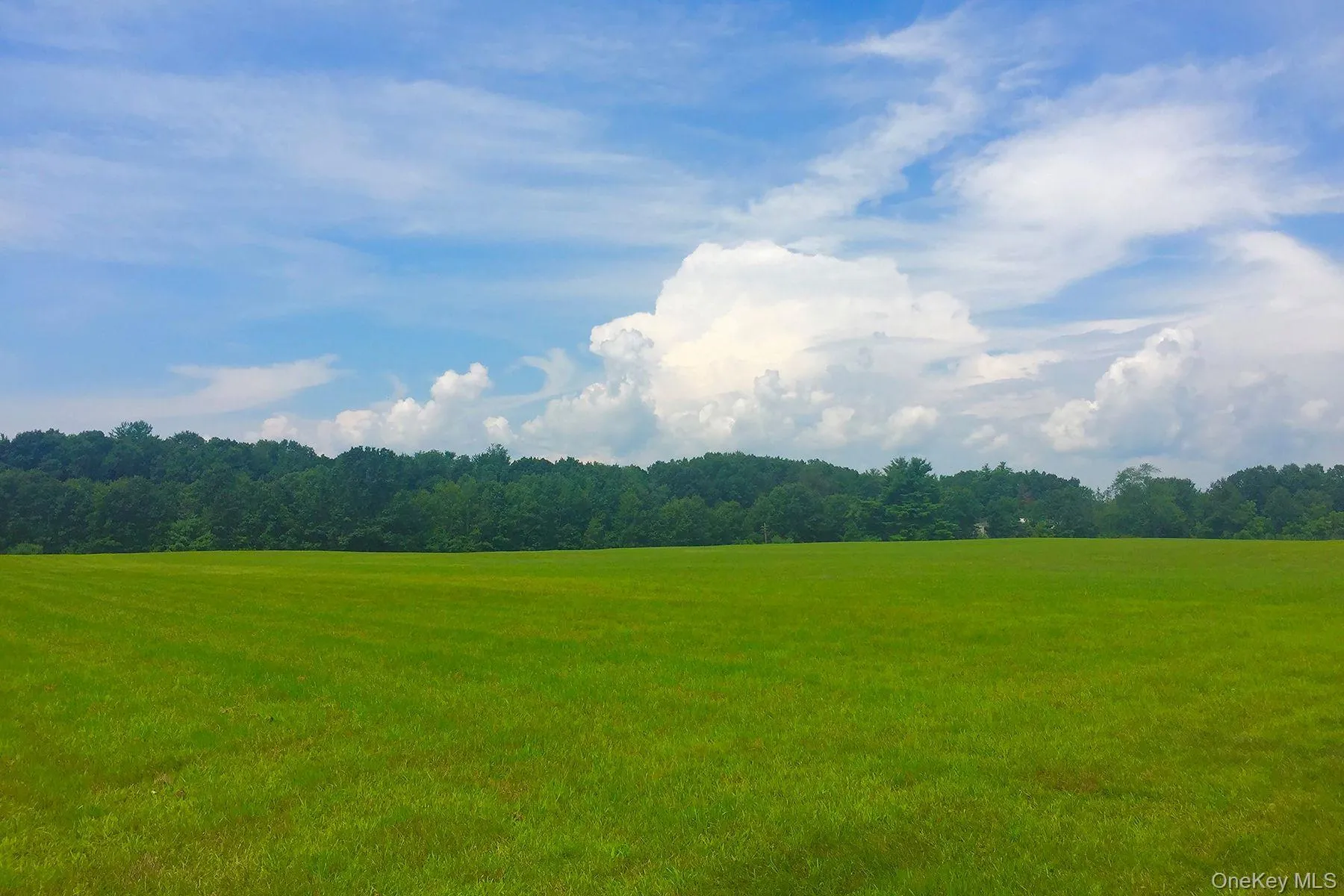 View of mountain backdrop with a forest and rural landscape View of mountain backdrop with a forest and rural landscape
