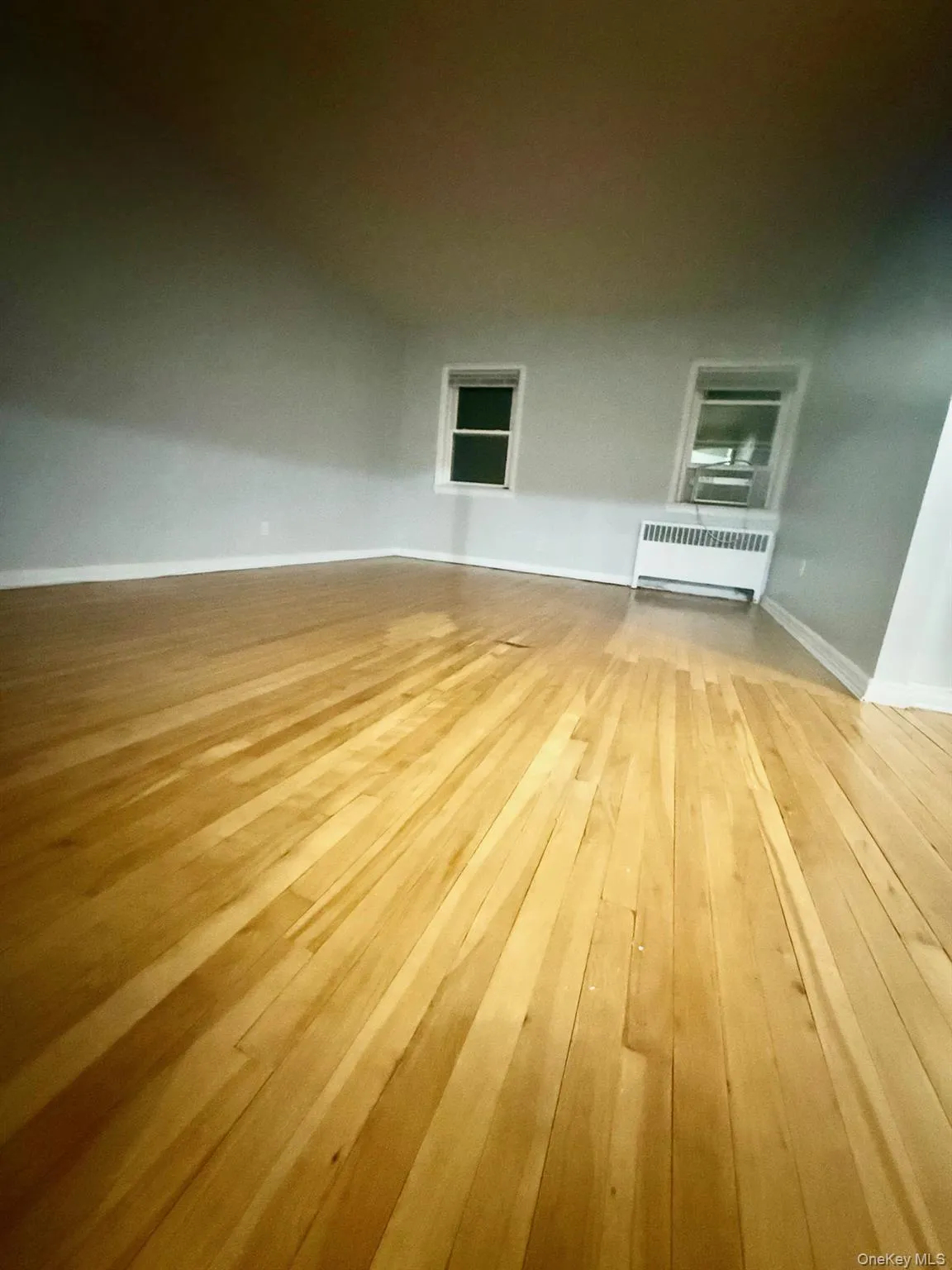 Empty room featuring radiator heating unit and light wood-style flooring Empty room featuring radiator heating unit and light wood-style flooring