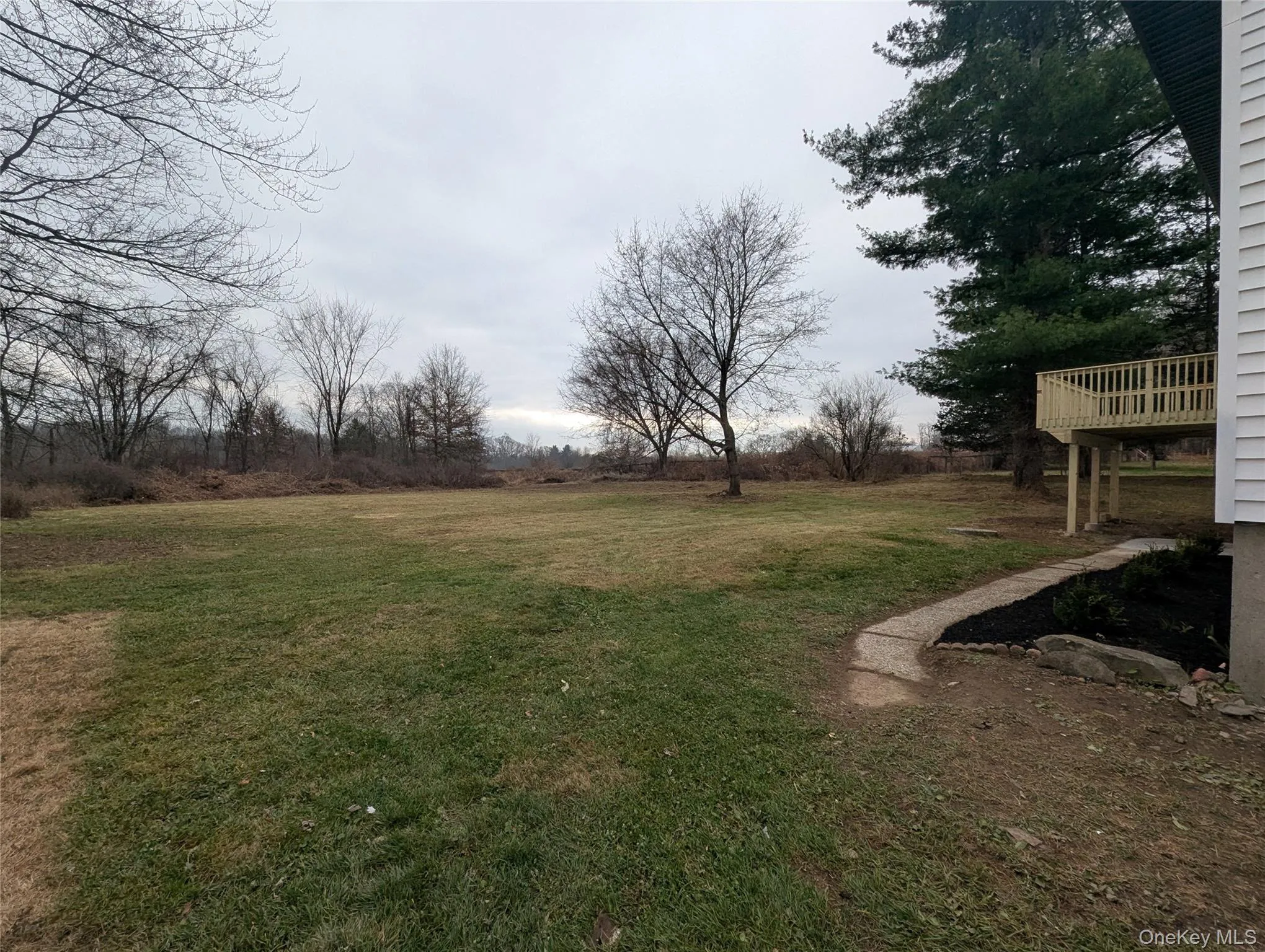 View of green lawn View of green lawn