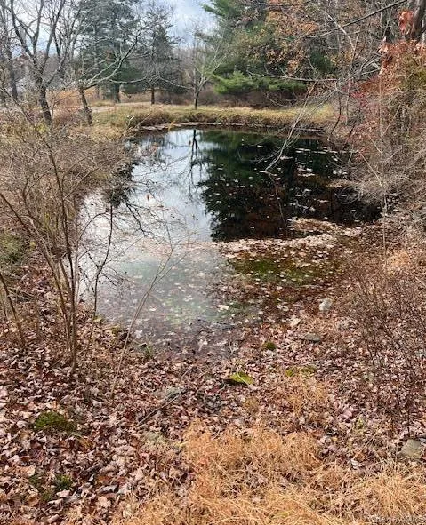 Pond Pond