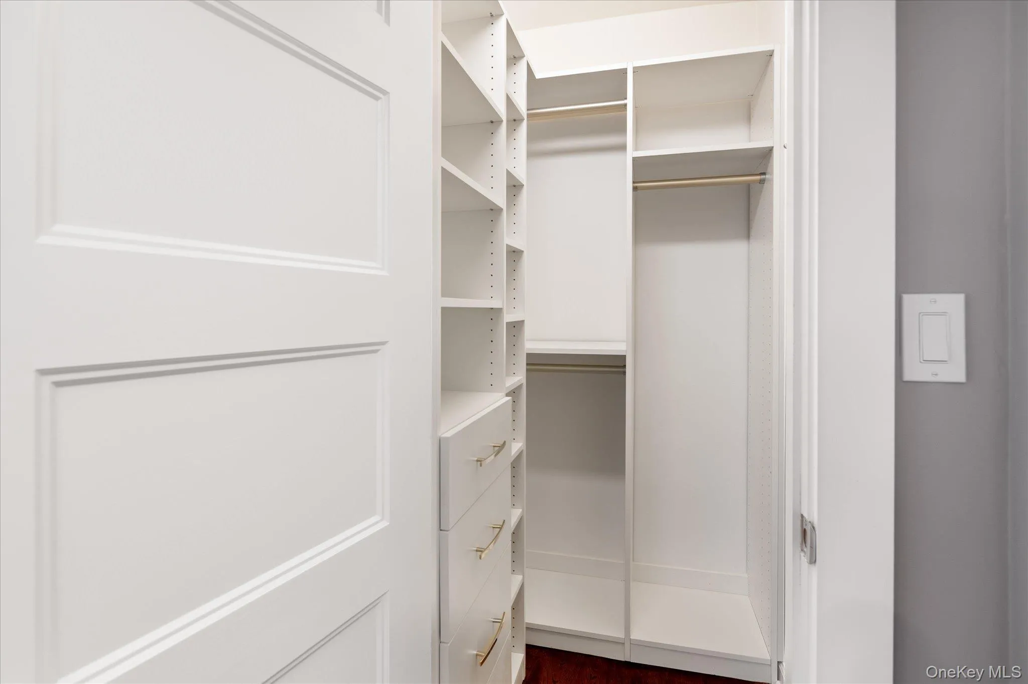Walk in closet featuring dark wood-style floors Walk in closet featuring dark wood-style floors